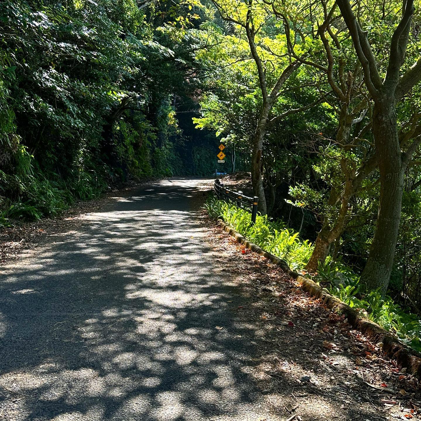 #西部林道&nbsp;#屋久島-1