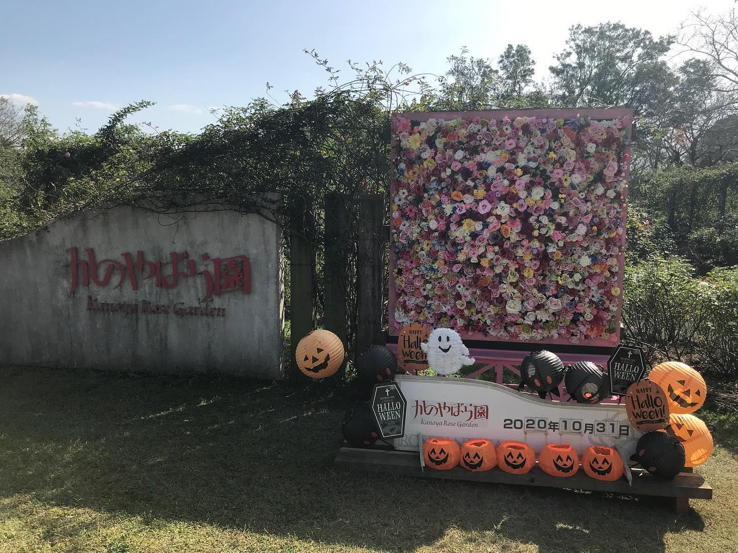 #かのやばら園&nbsp;#鹿屋市-1