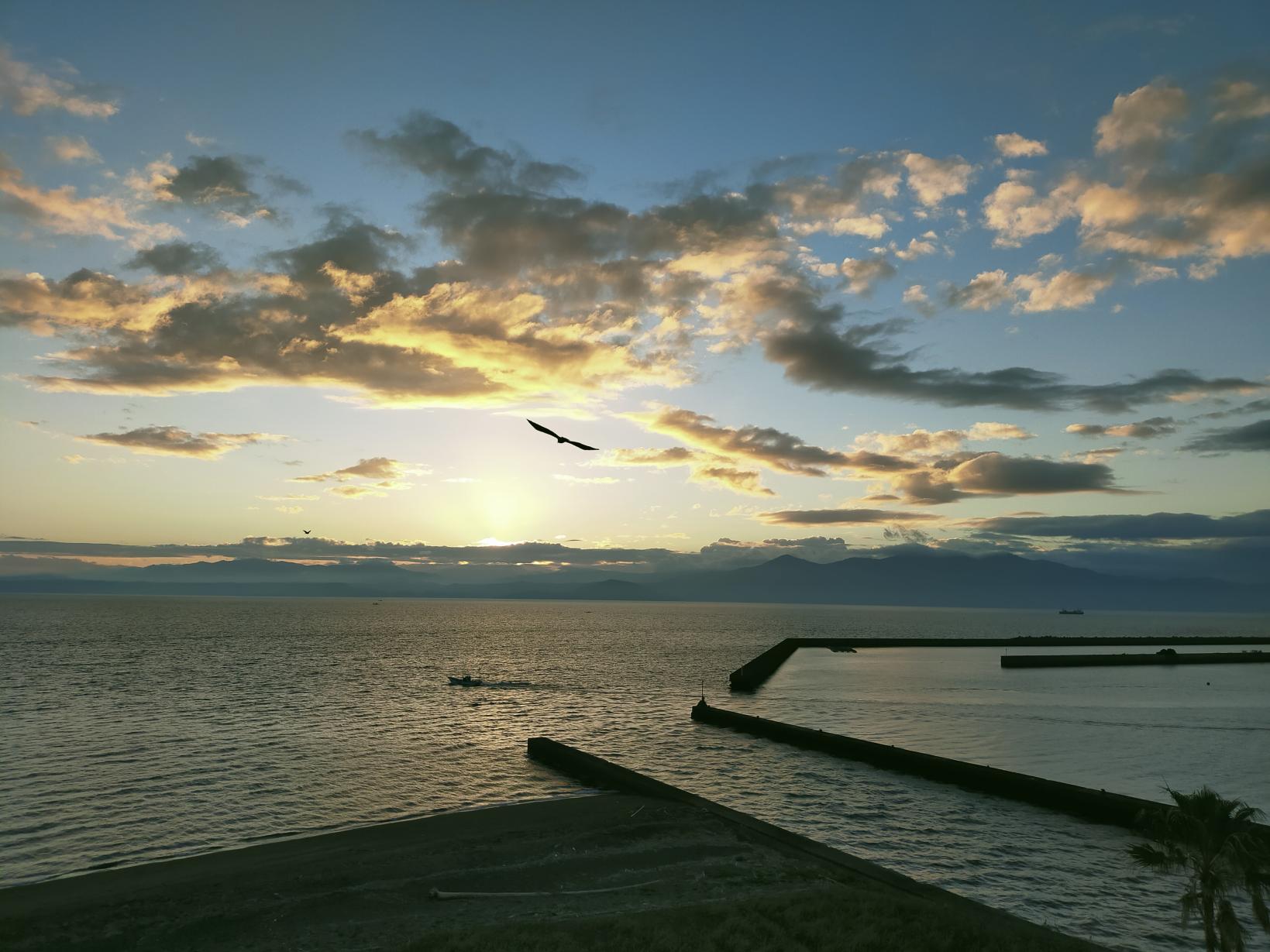 #錦江湾&nbsp;#指宿市-1