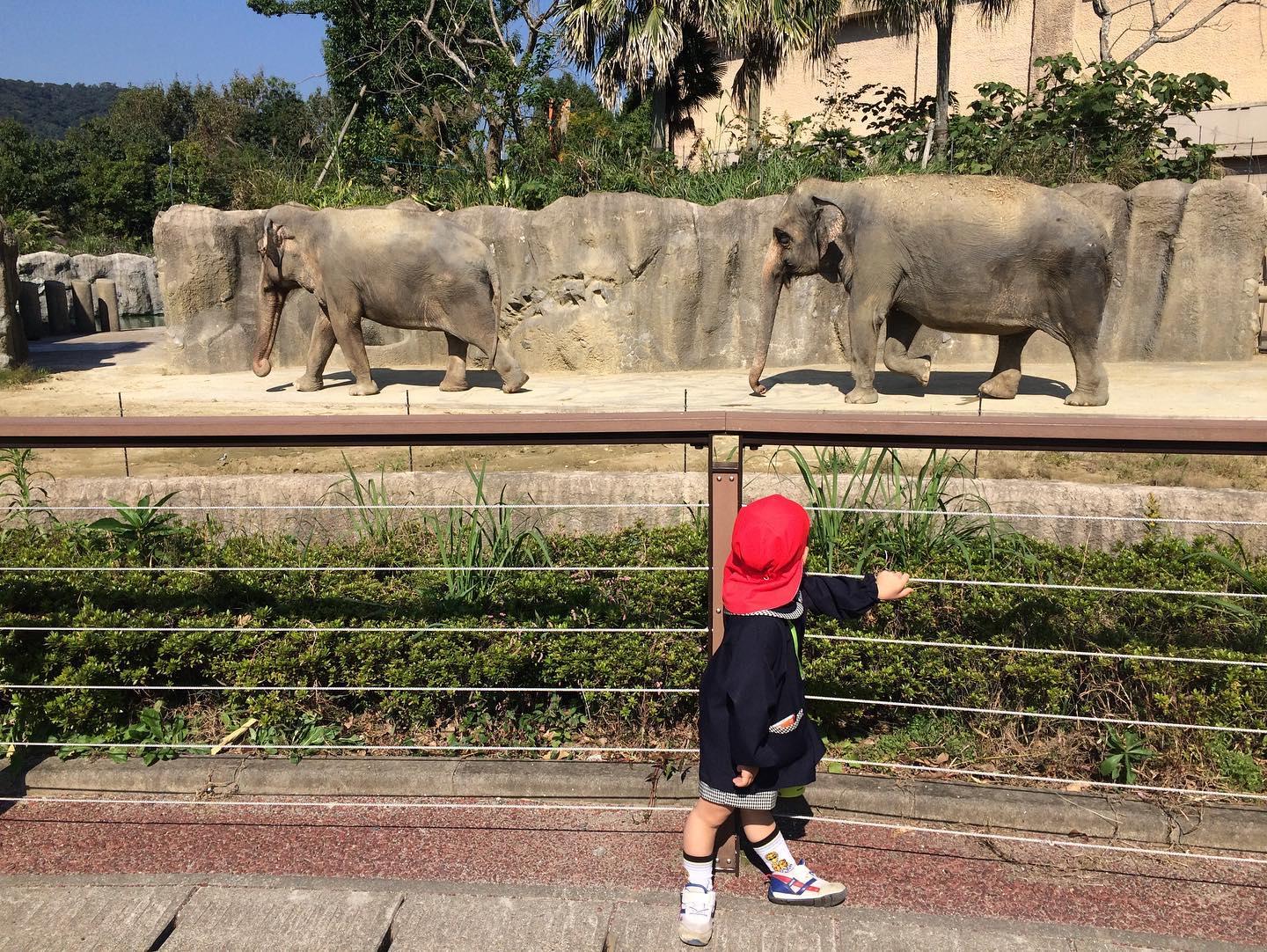 #平川動物公園-1