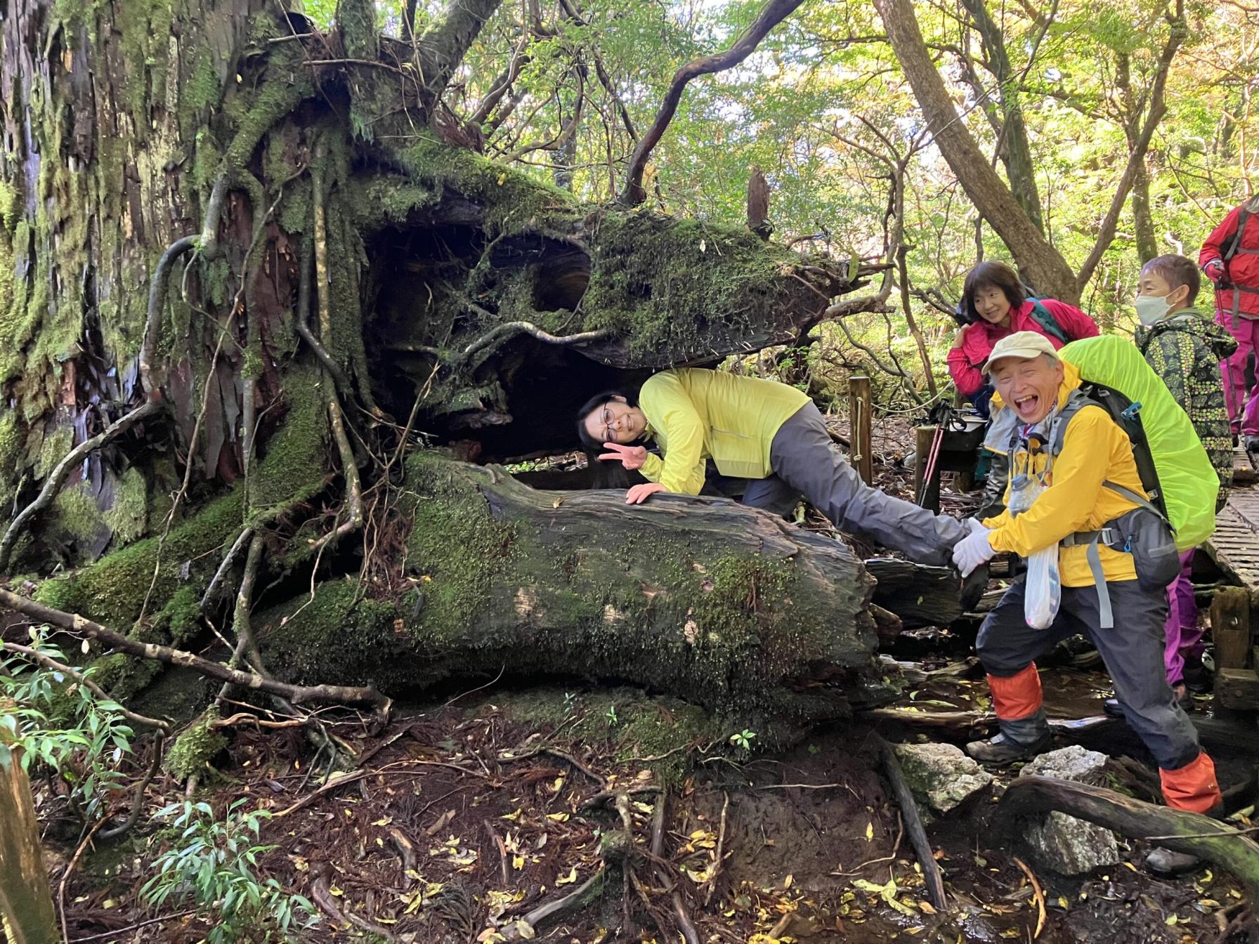 #宮之浦岳縦走中に出会ったマグロ&nbsp;#屋久島-1