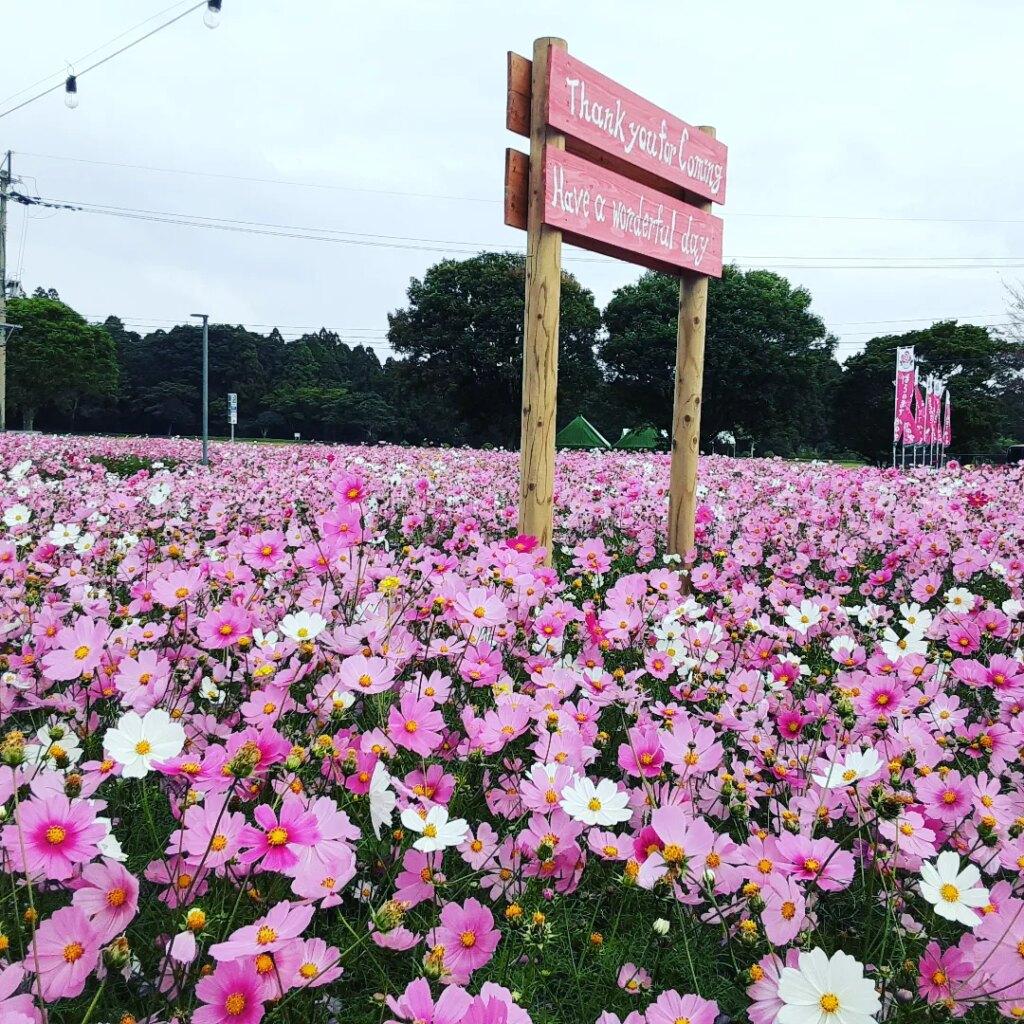 #霧島ヶ丘公園&nbsp;#鹿屋市-1