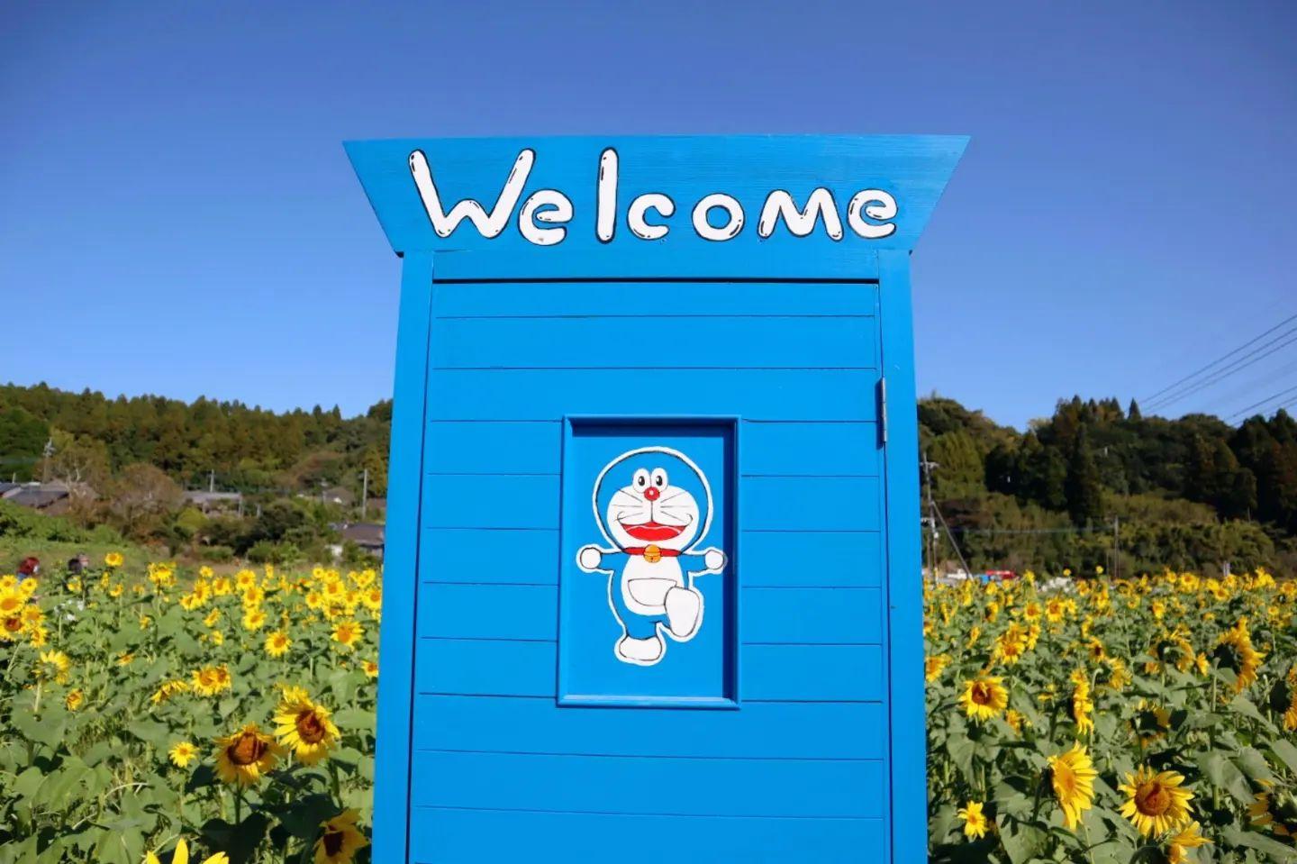 #大久保のひまわり&nbsp;#南九州市-1