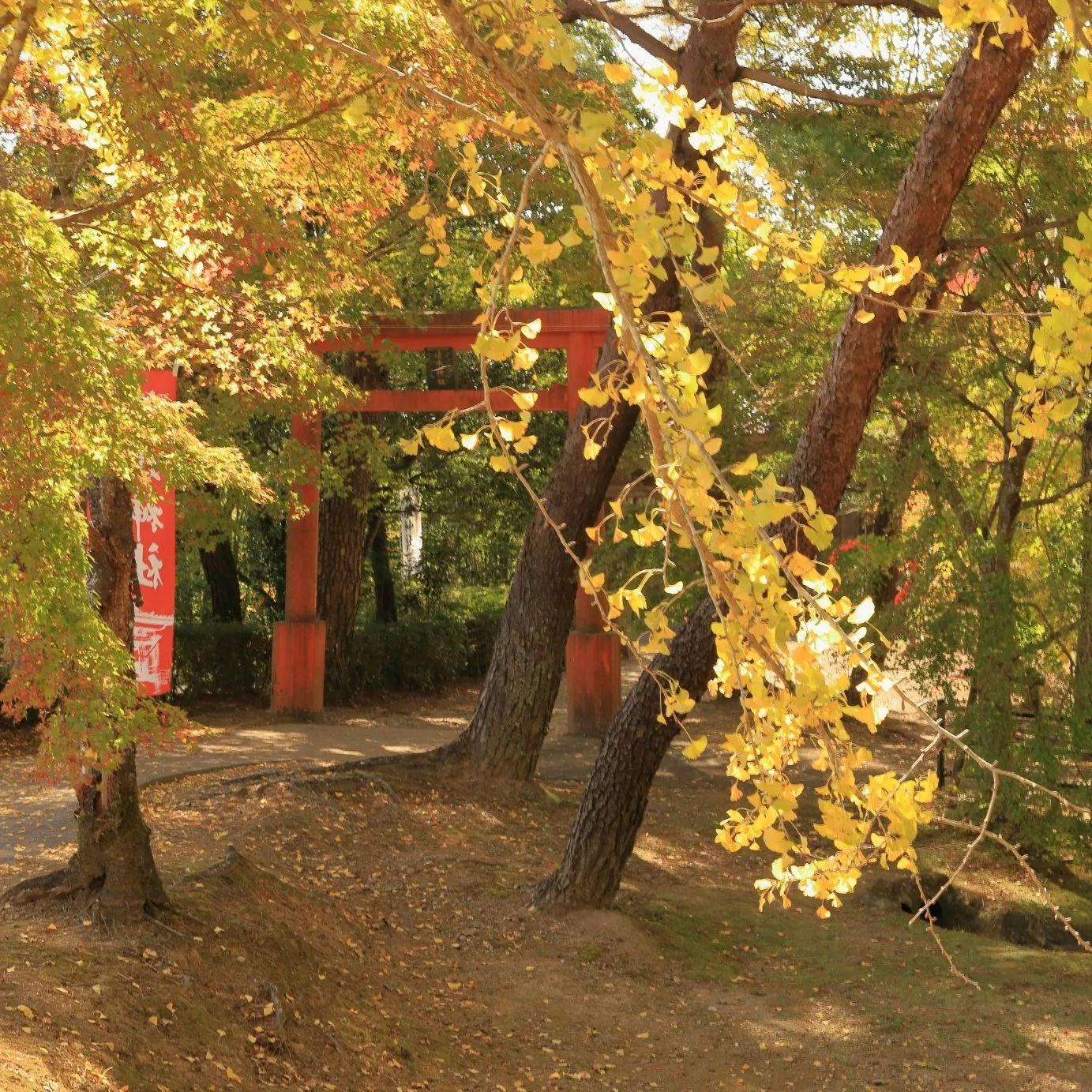 #曽木の滝公園&nbsp;#伊佐市-1