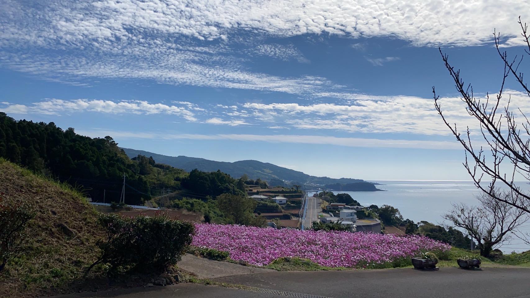 #風車公園 #出水郡長島町-1