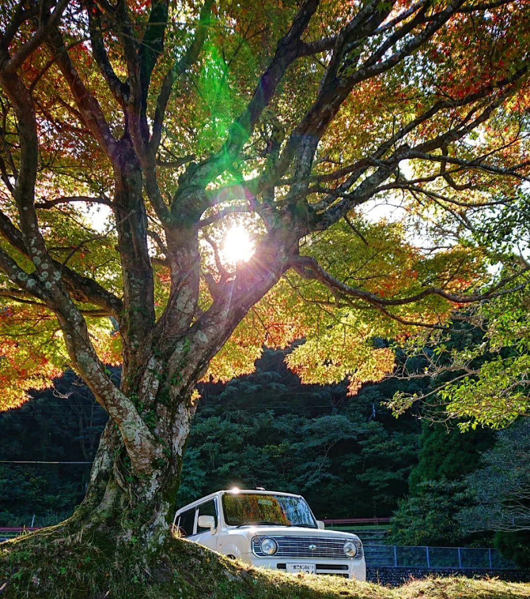#藺牟田池&nbsp;#薩摩川内市-1