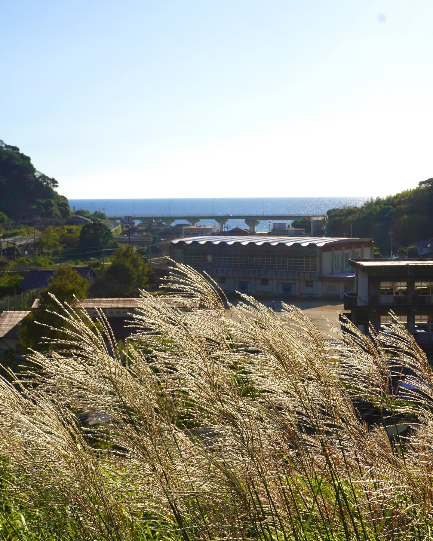 #霧島神社&nbsp;#霧島市-1