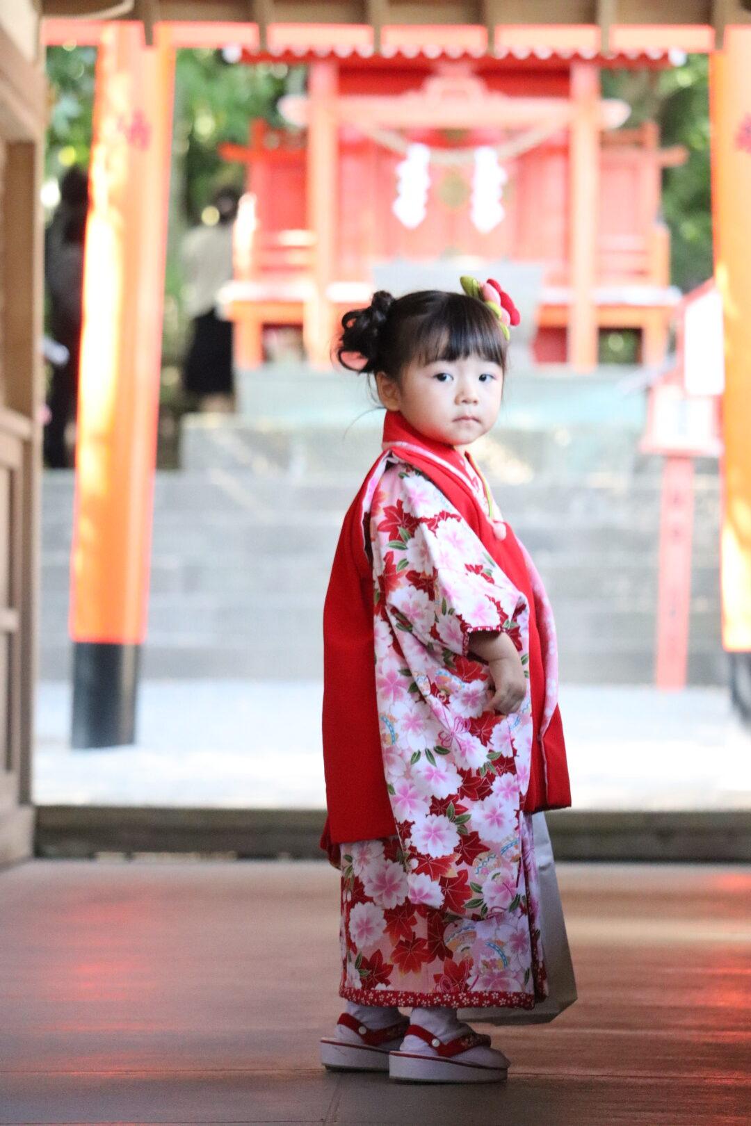 #照国神社 #鹿児島市-1