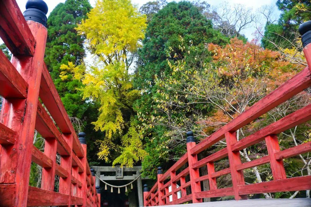 #冠嶽神社 #いちき串木野市-1