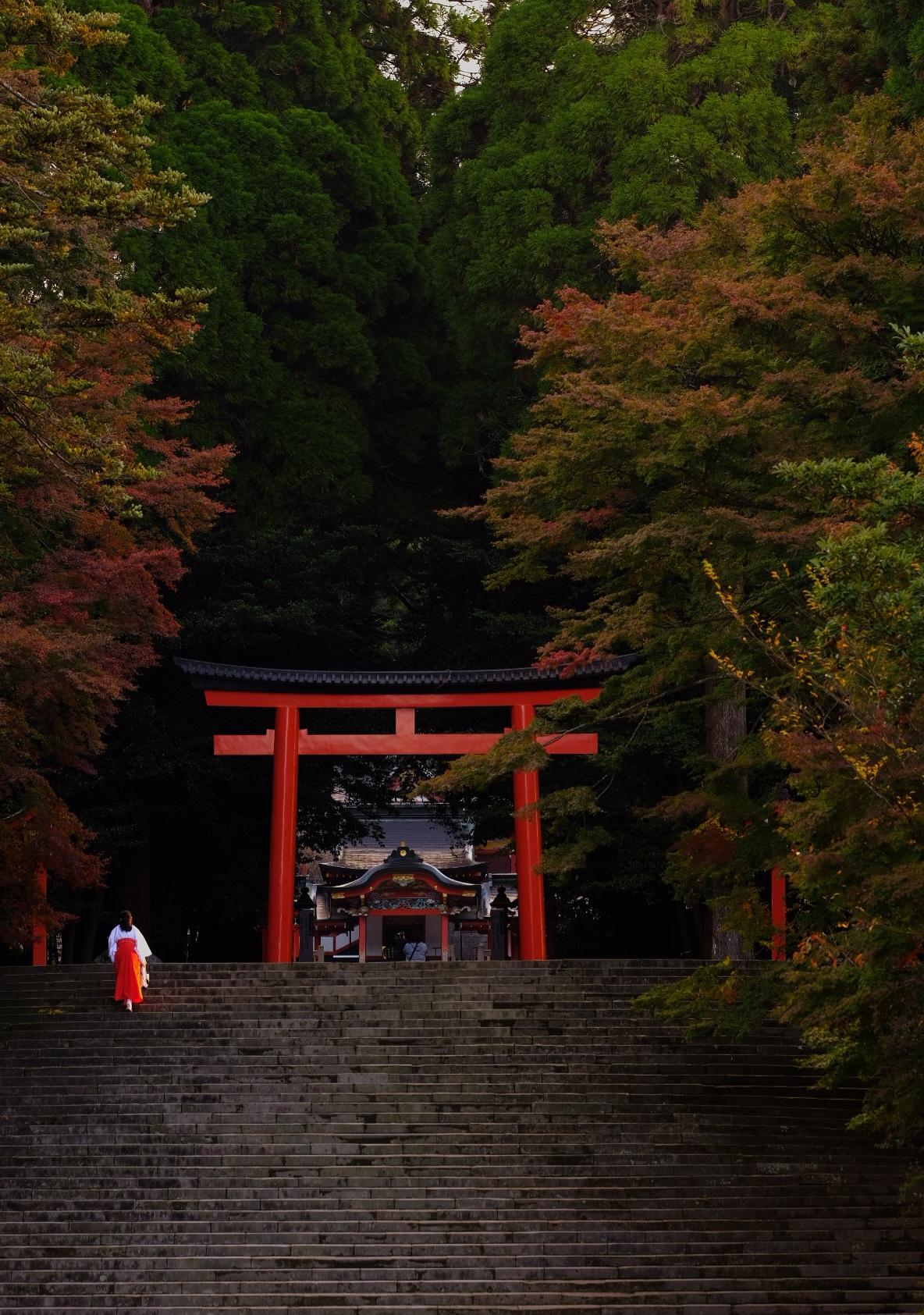 #霧島神宮 #霧島市-1