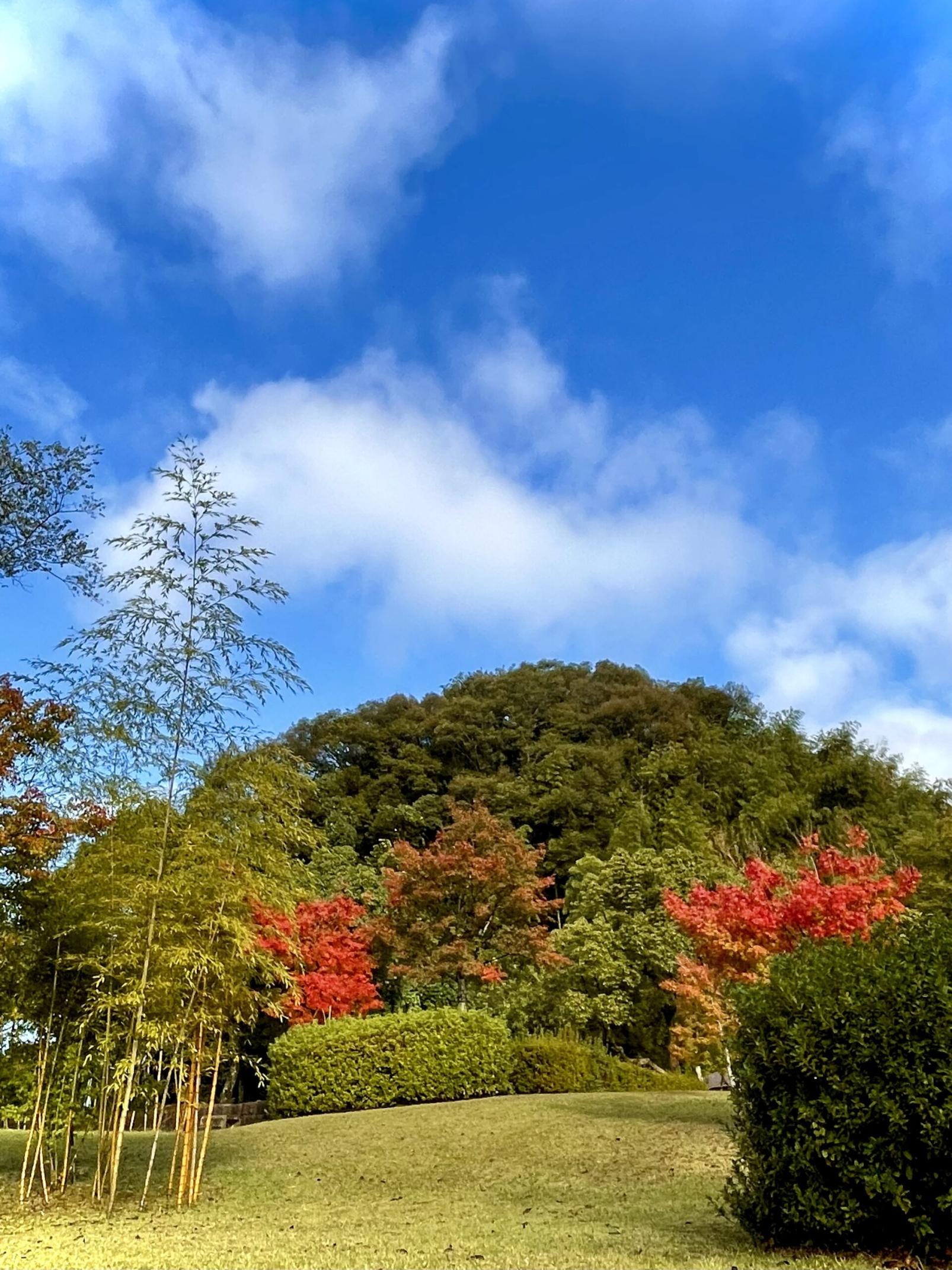 #北薩広域公園&nbsp;#さつま町-1