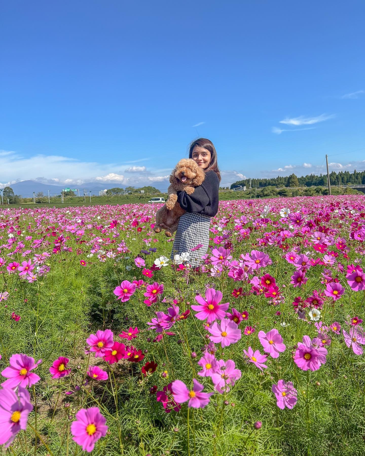 #十三塚原史跡公園 #霧島市-1