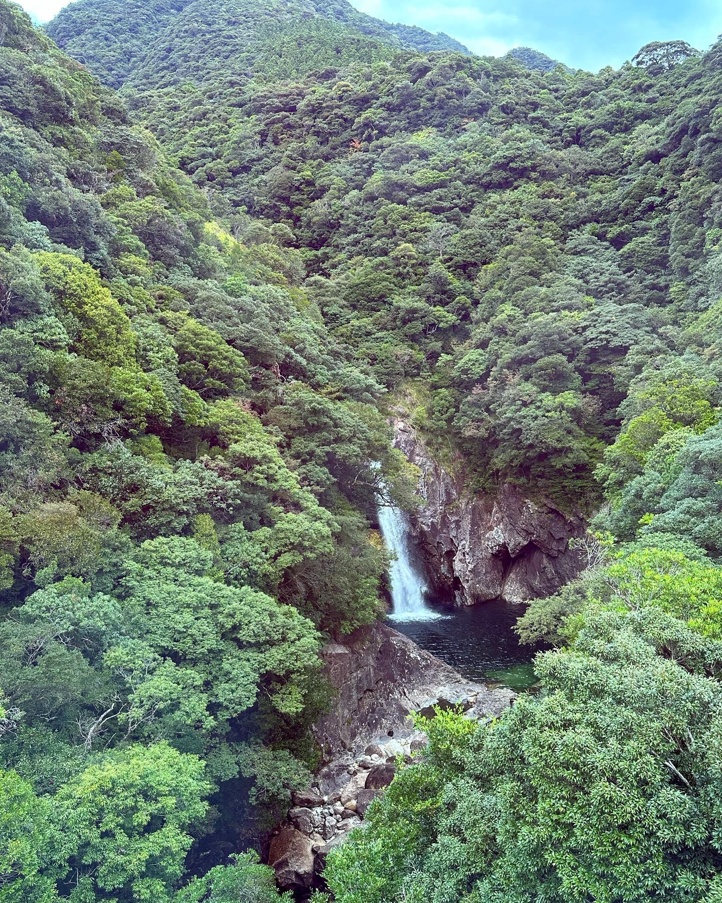 #竜神の滝 #屋久島-1