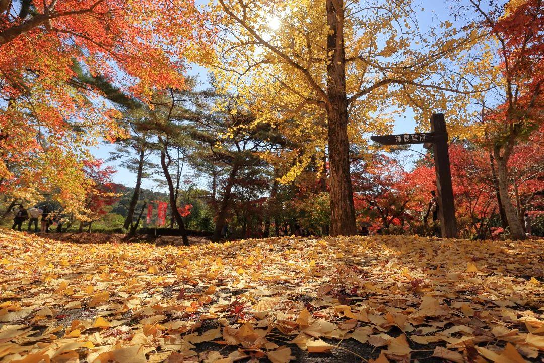 #曽木の滝公園&nbsp;#伊佐市-1