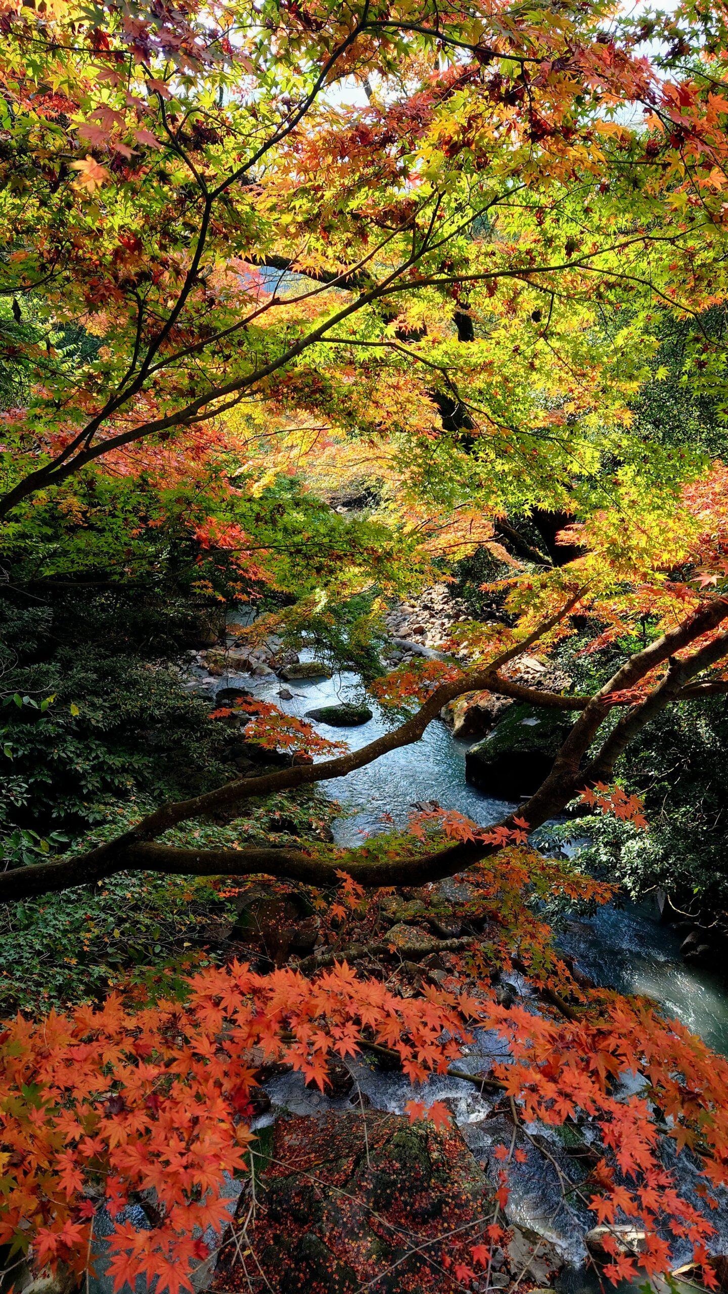 #丸尾滝&nbsp;#霧島市-1