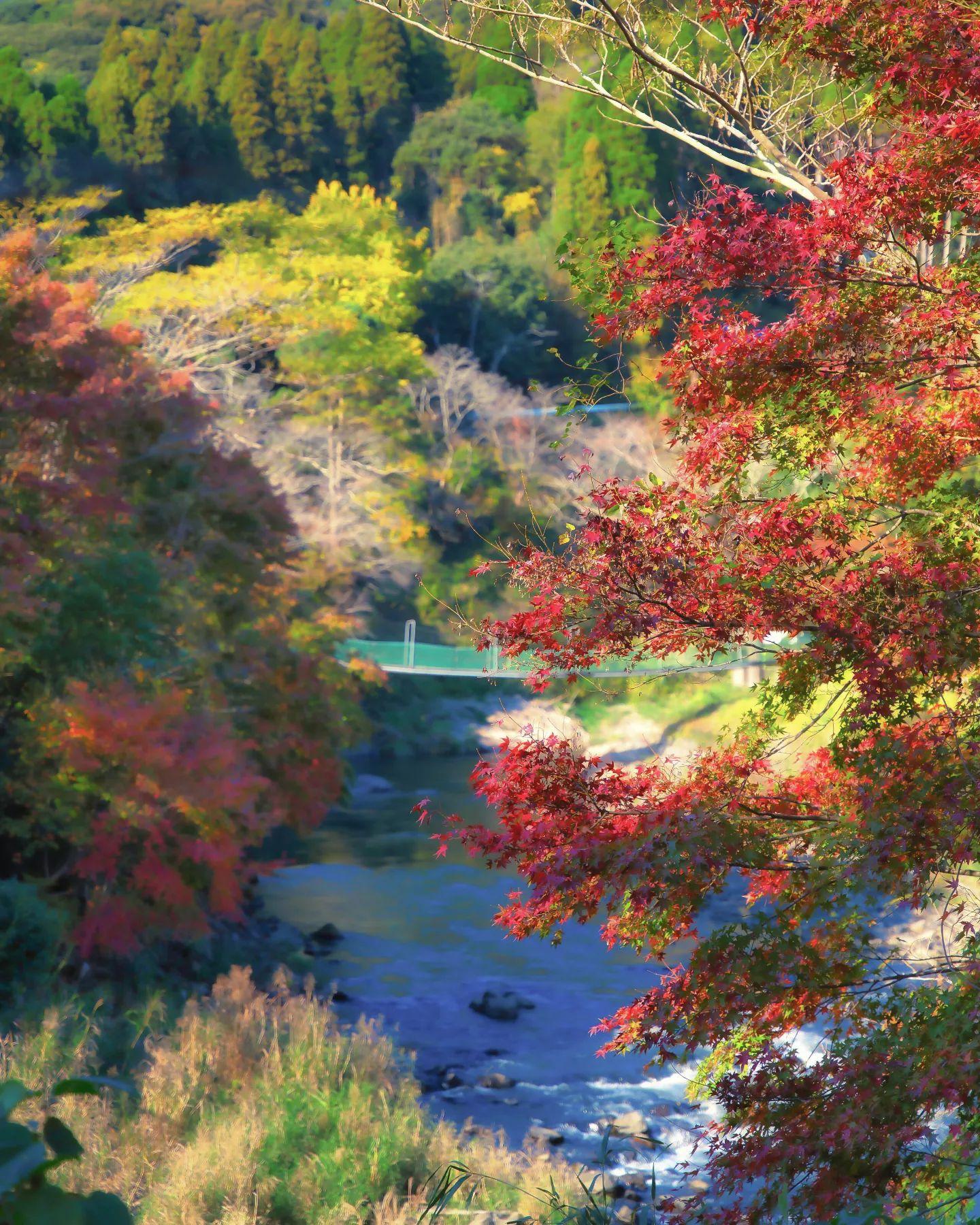 #せせらぎの湯花水木，伊集院-1