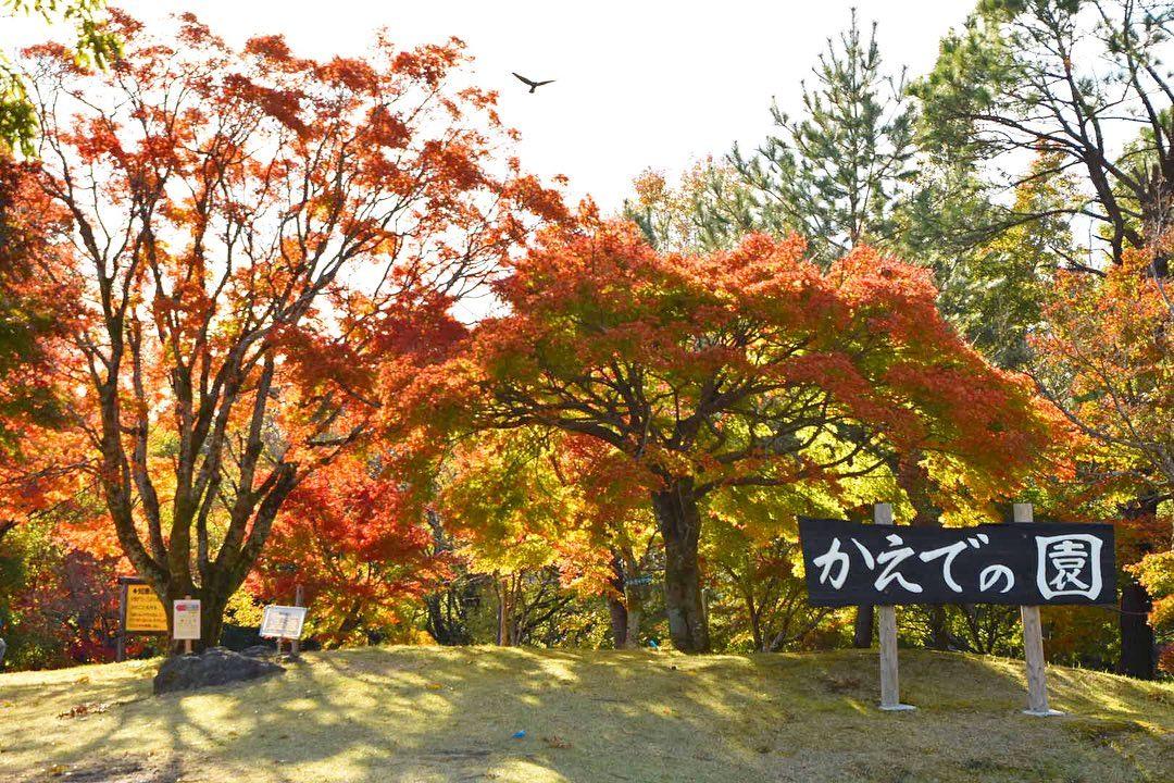 #県立青少年研修センター&nbsp;#鹿児島市-1