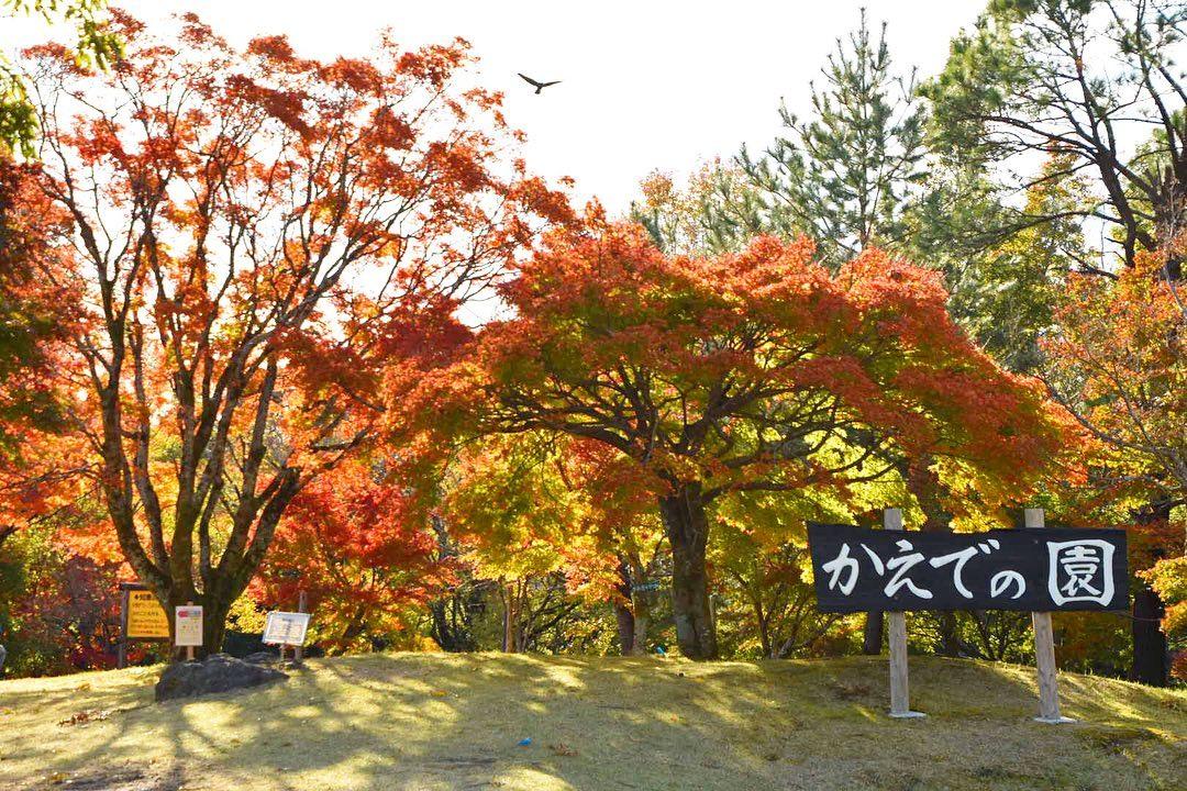 #県立青少年研修センター #鹿児島市-1