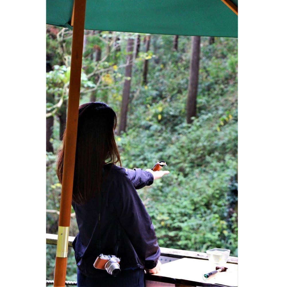 #鷹直神社&nbsp;#鹿屋市横山町-1