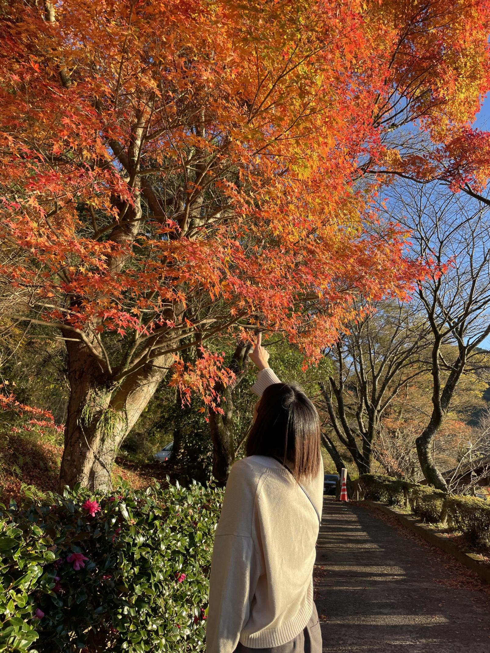 #藺牟田池&nbsp;#薩摩川内市-1