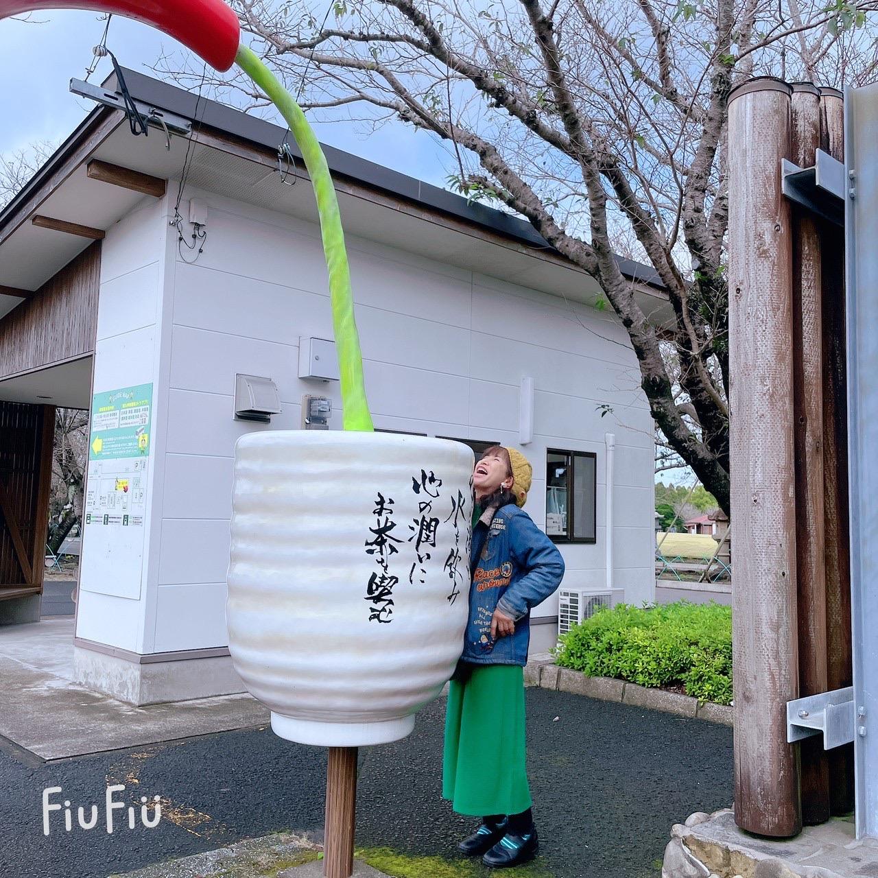 #知覧&nbsp;#知覧茶-1