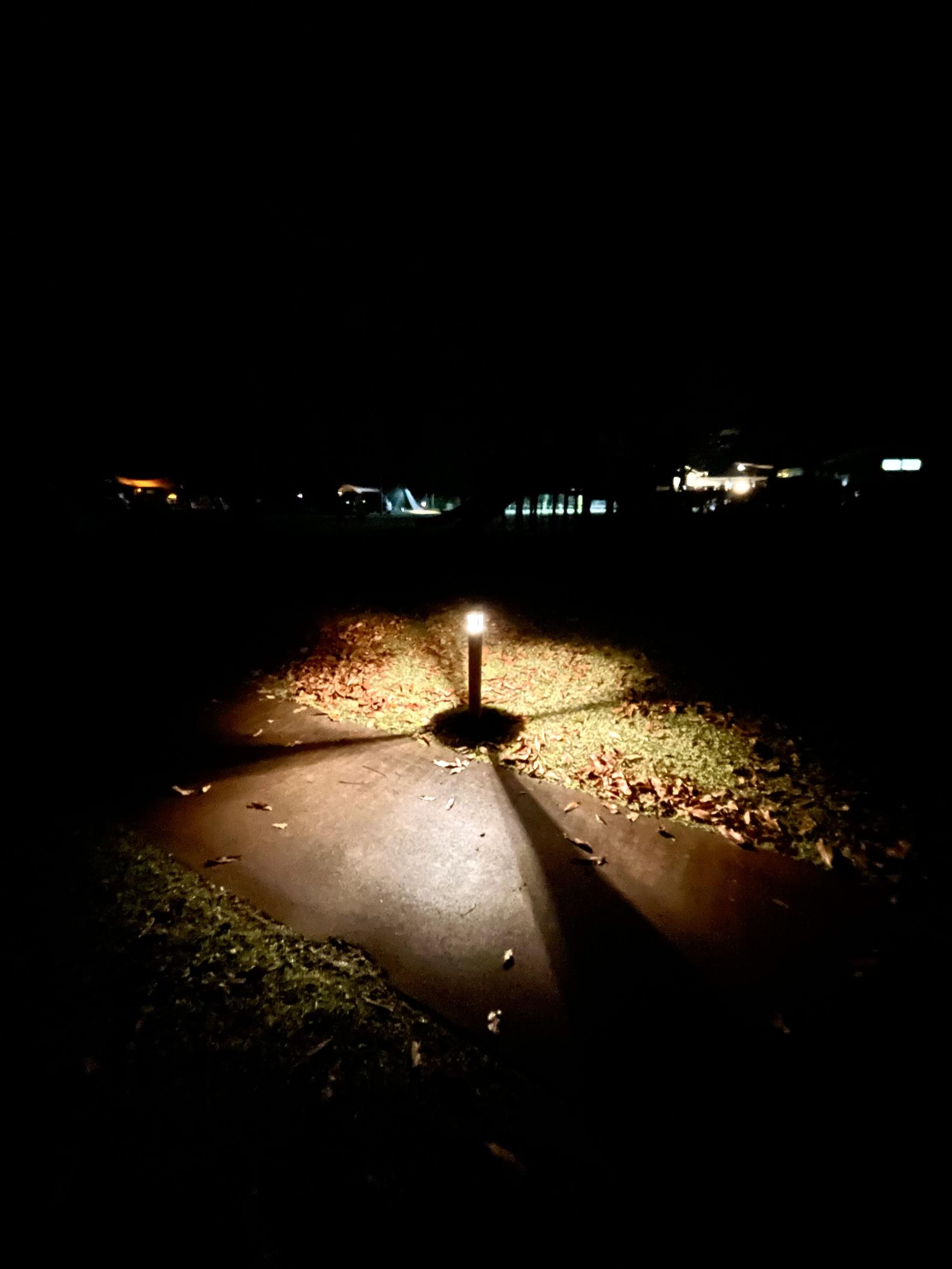 #大隅広域公園&nbsp;#鹿屋市-1