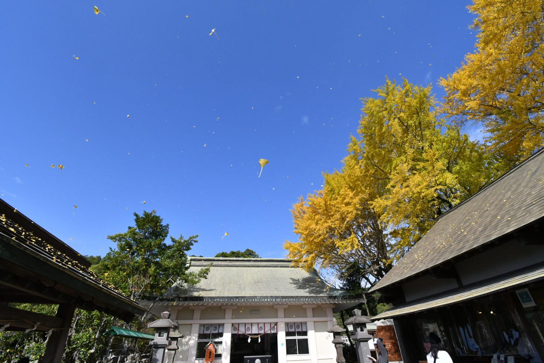 #南州神社 #鹿児島市-1