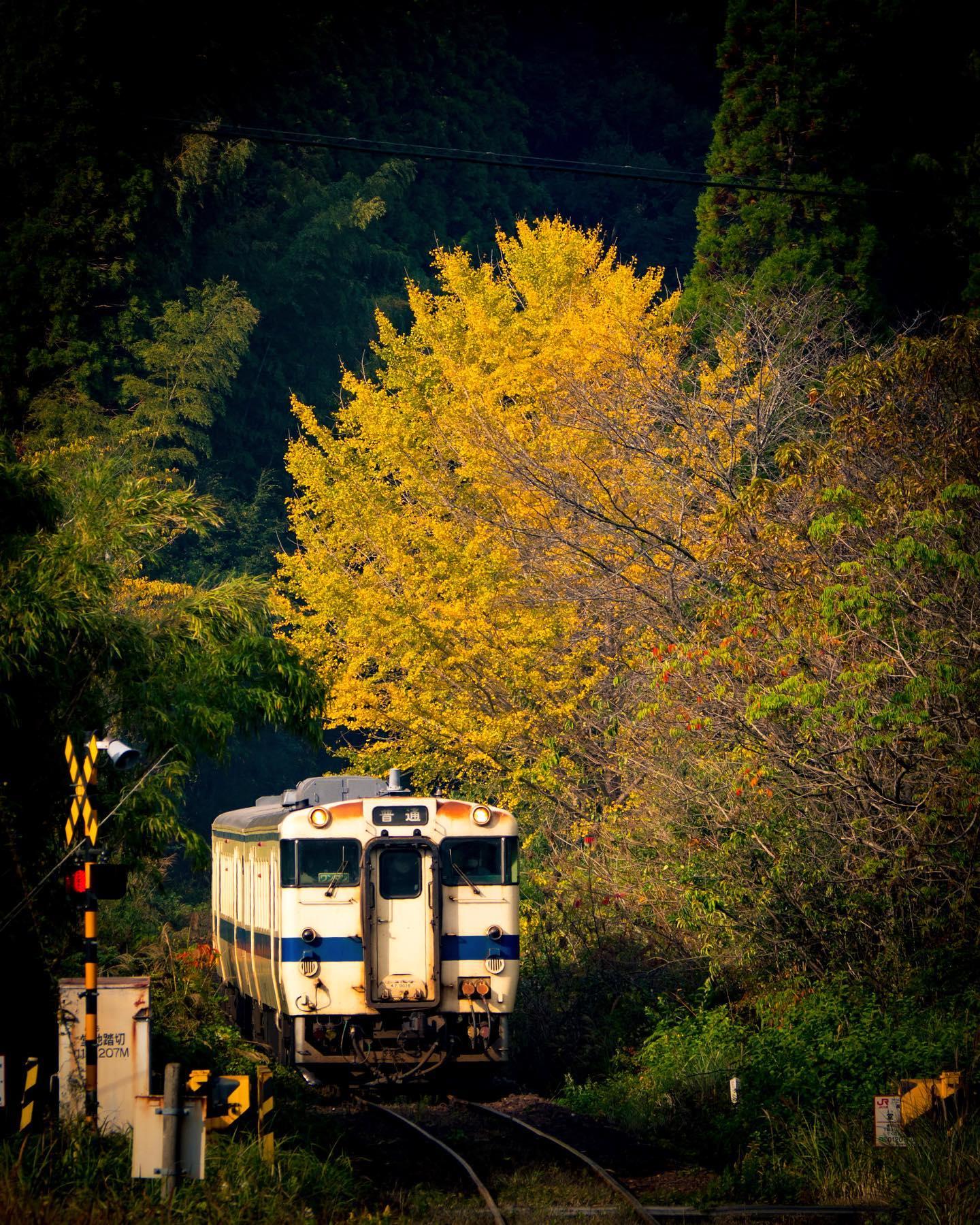 #嘉例川駅 #霧島市-1