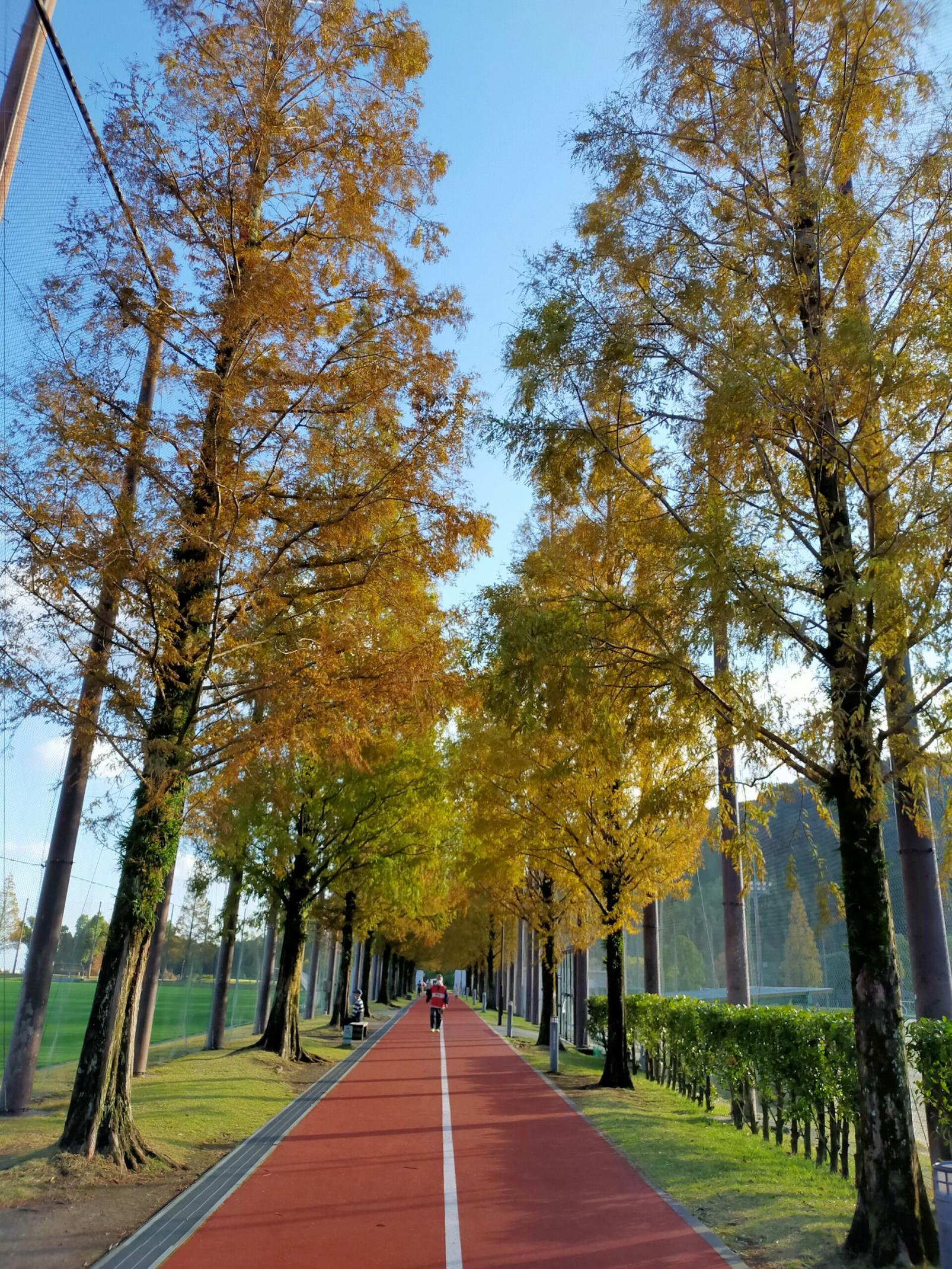 #鹿児島ふれあいスポーツランド&nbsp;#鹿児島市-1