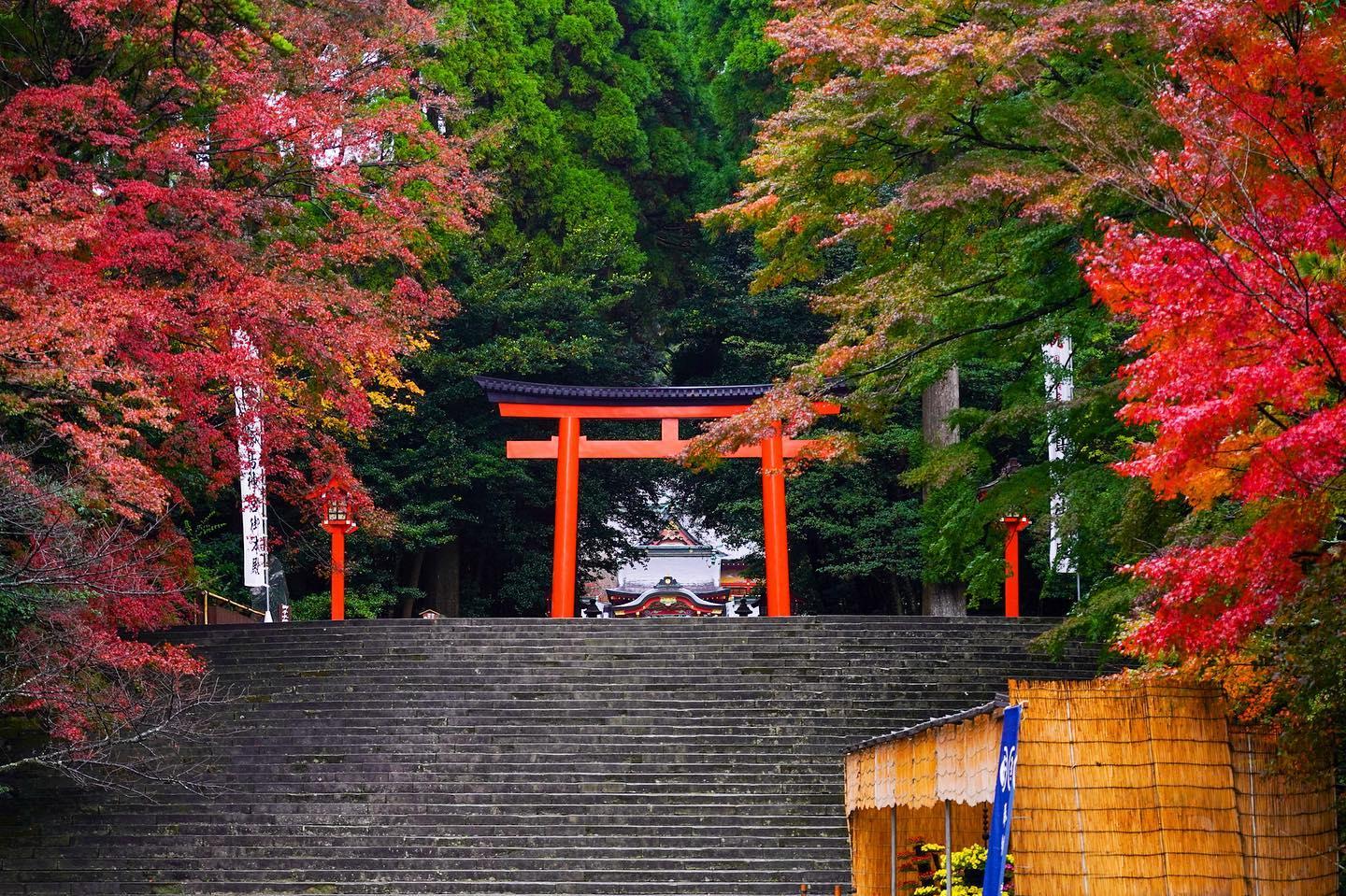 #霧島神宮&nbsp;#霧島市-1