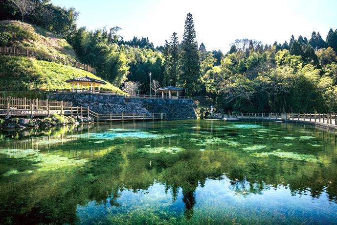  丸池湧水 