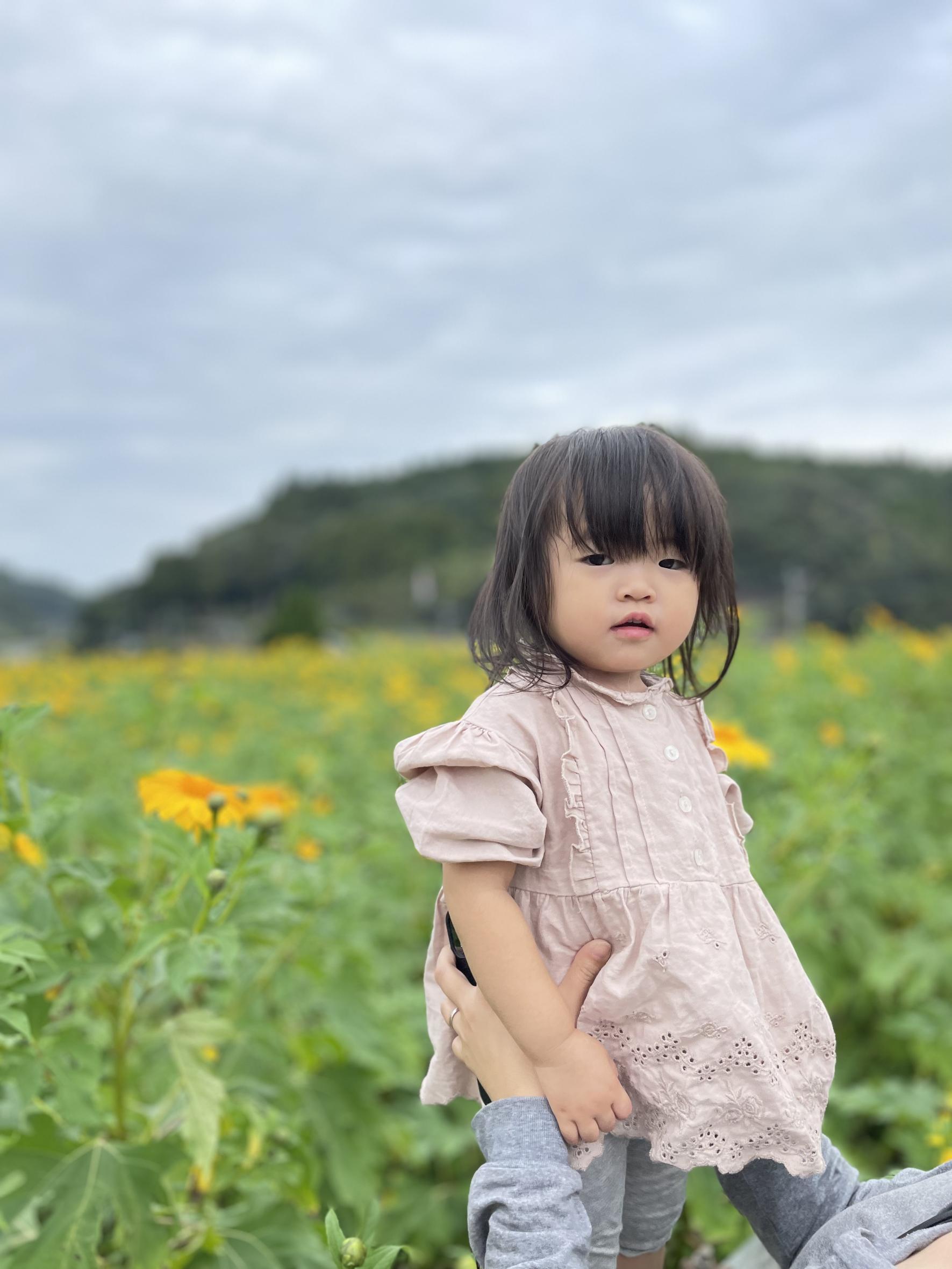 #皇帝ひまわりと孫ちゃん&nbsp;#南さつま市-1