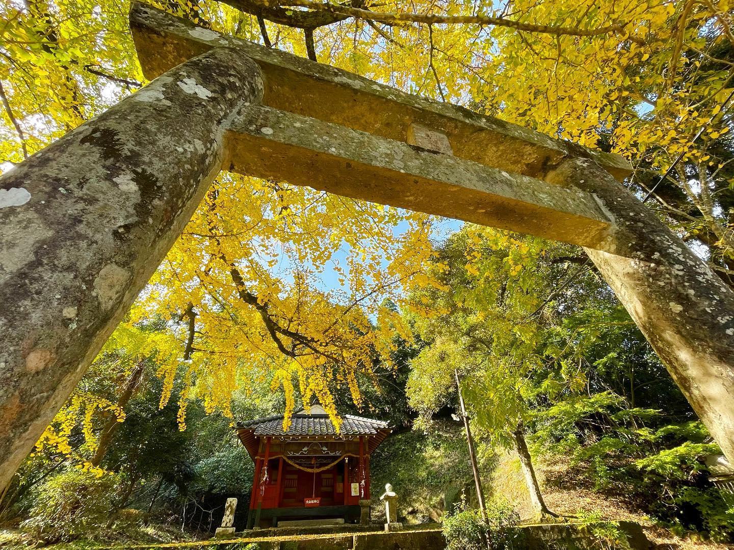 #大山祇神社，姶良市-1