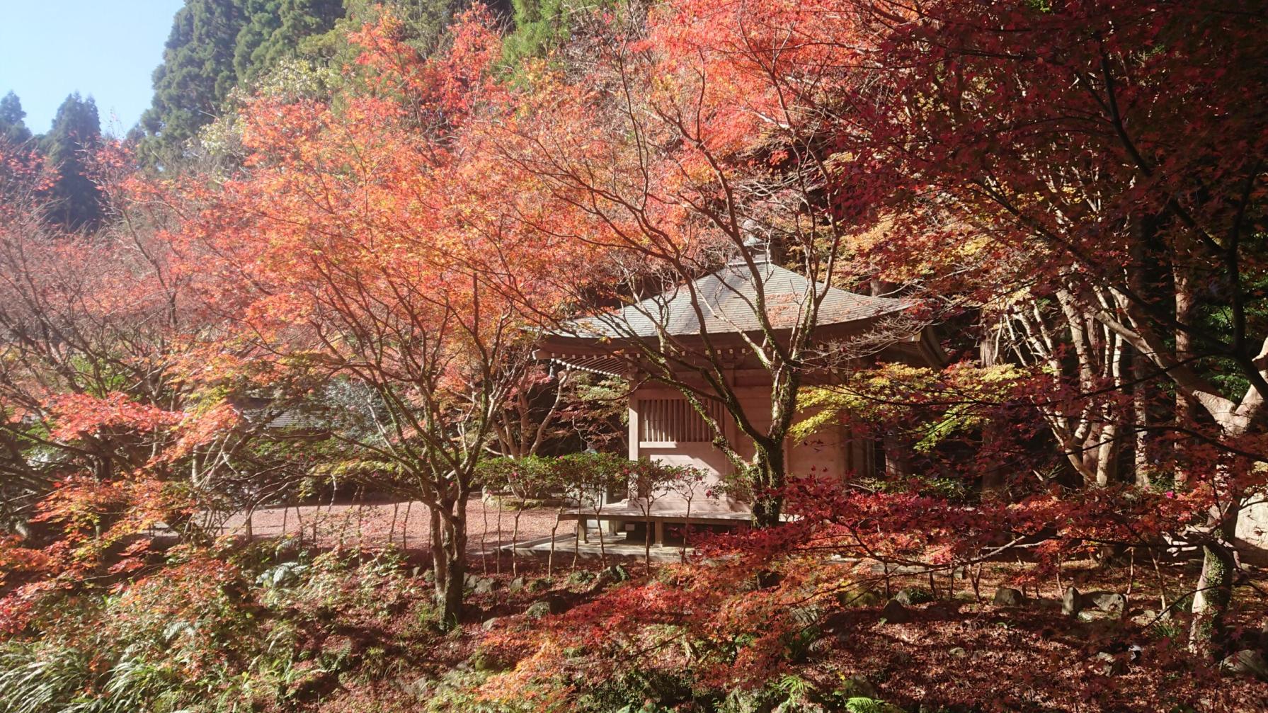 #鎮国寺頂峯院大師堂&nbsp;#いちき串木野市-1