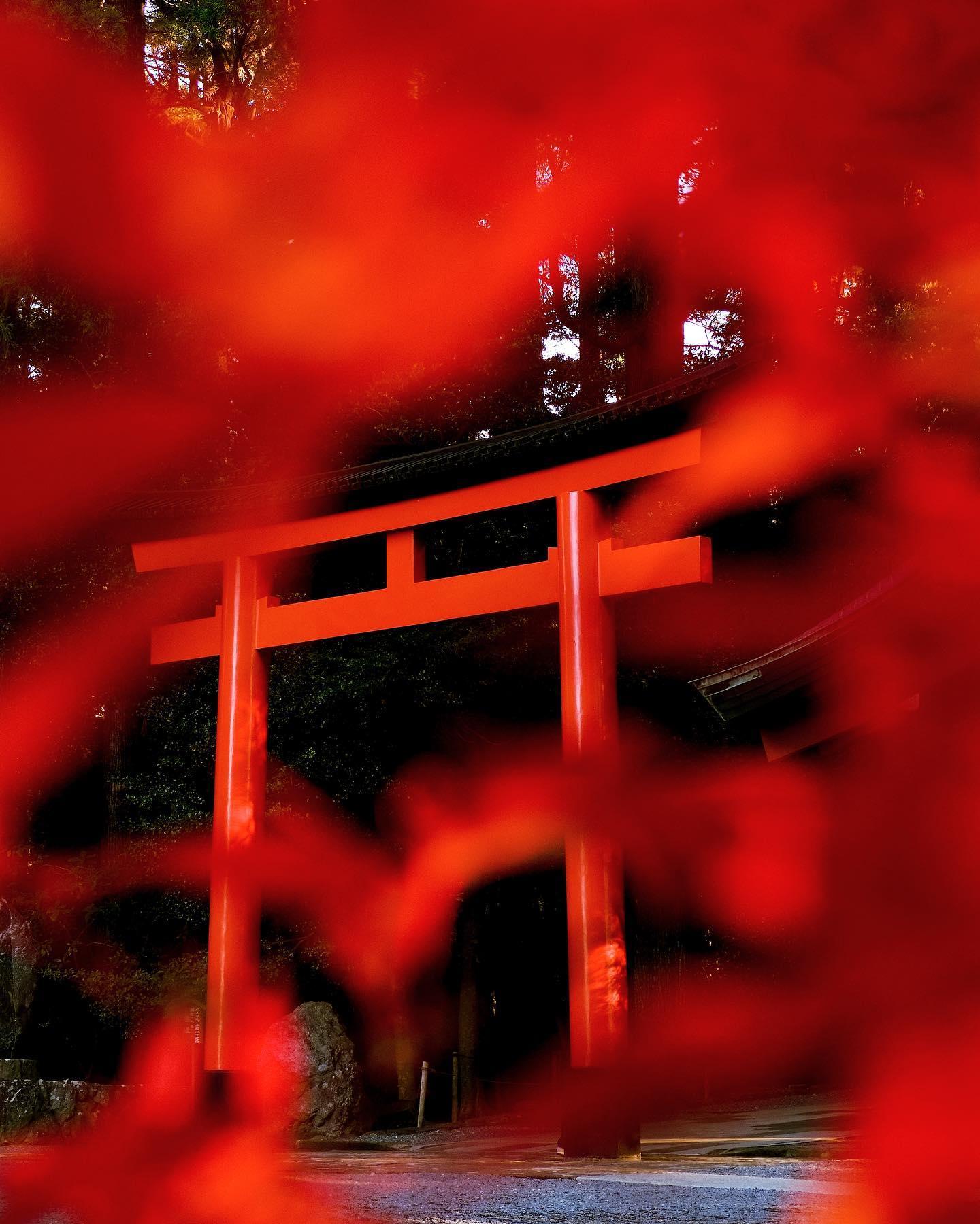 #霧島神宮&nbsp;#霧島市-1