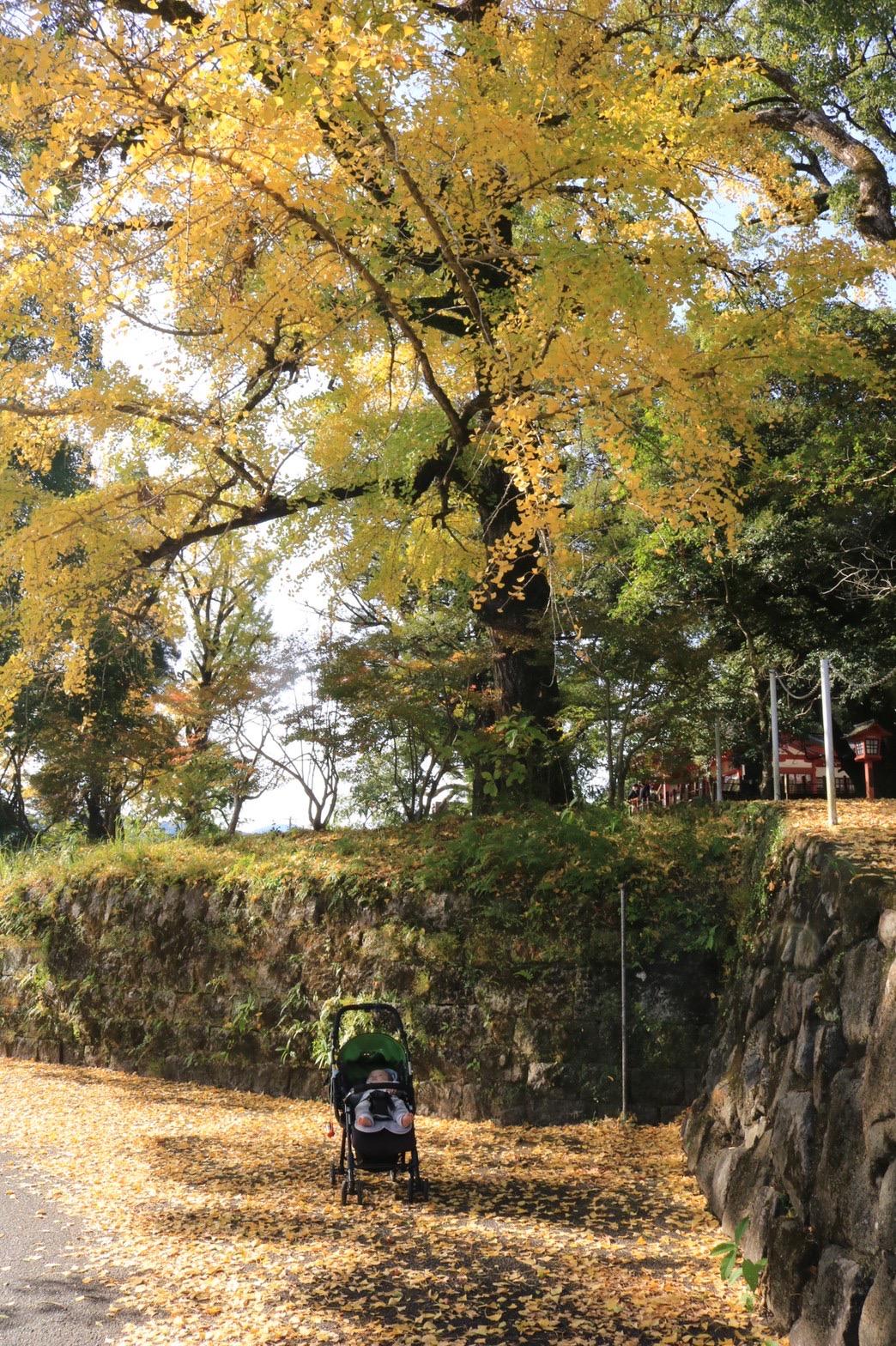 #蒲生八幡神社-1