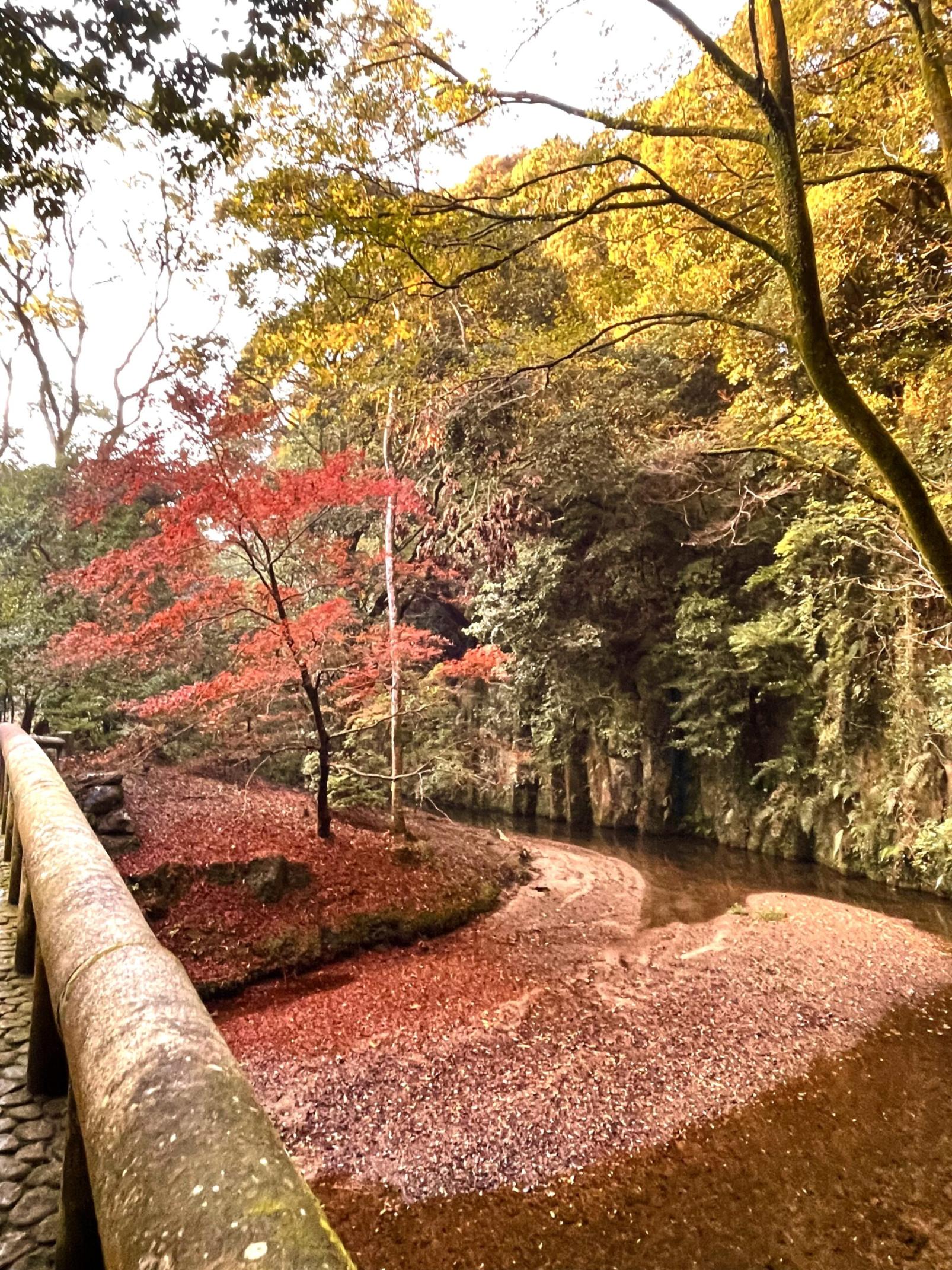 #吾平山上陵、-1