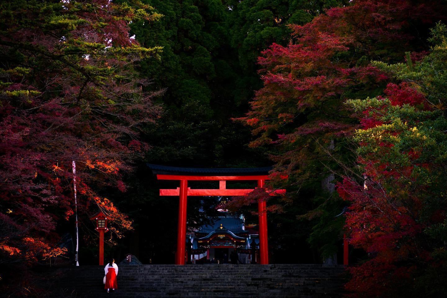 #霧島神宮&nbsp;#霧島市-1