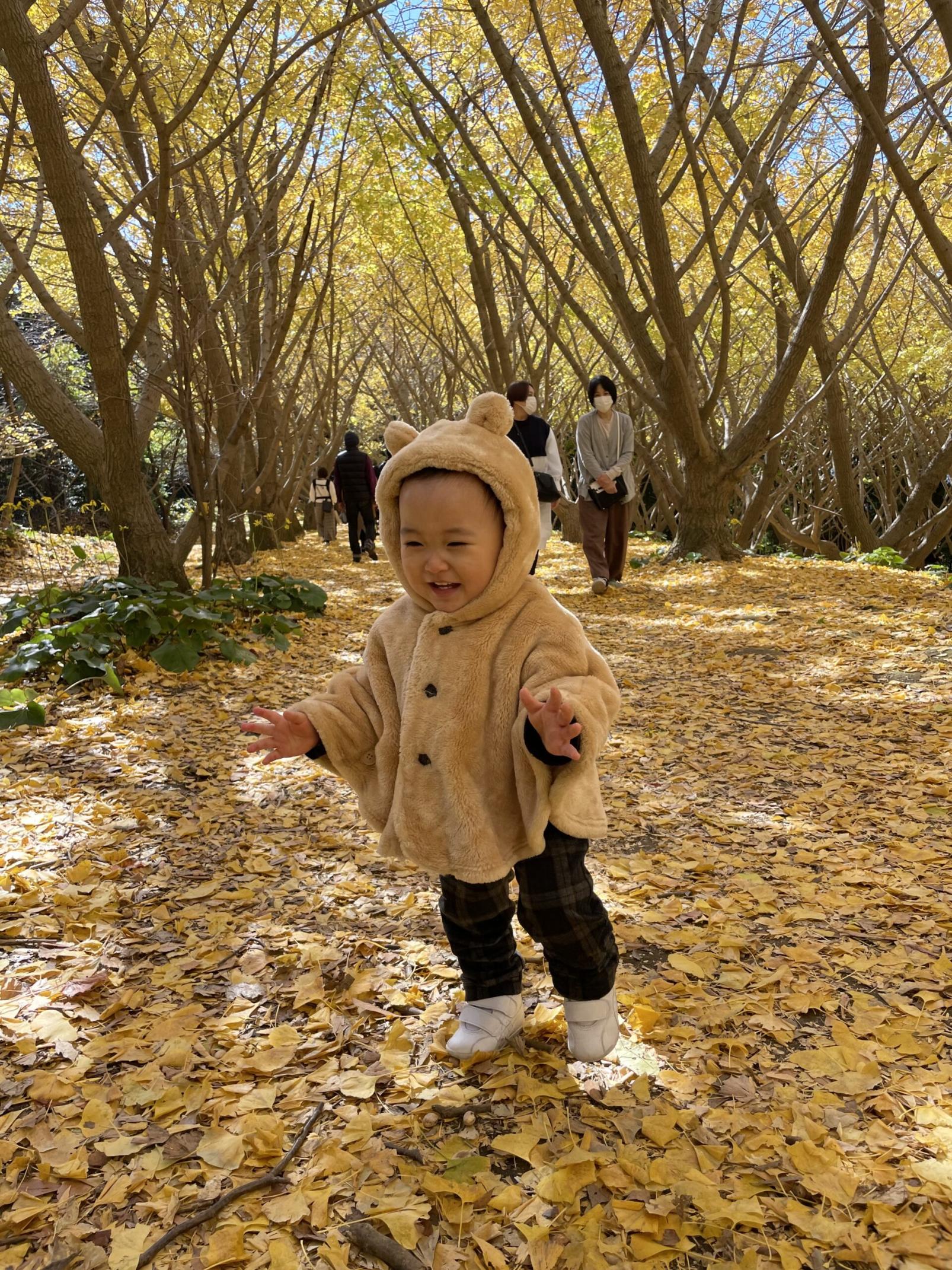 #垂水千本イチョウ園 #垂水市-1