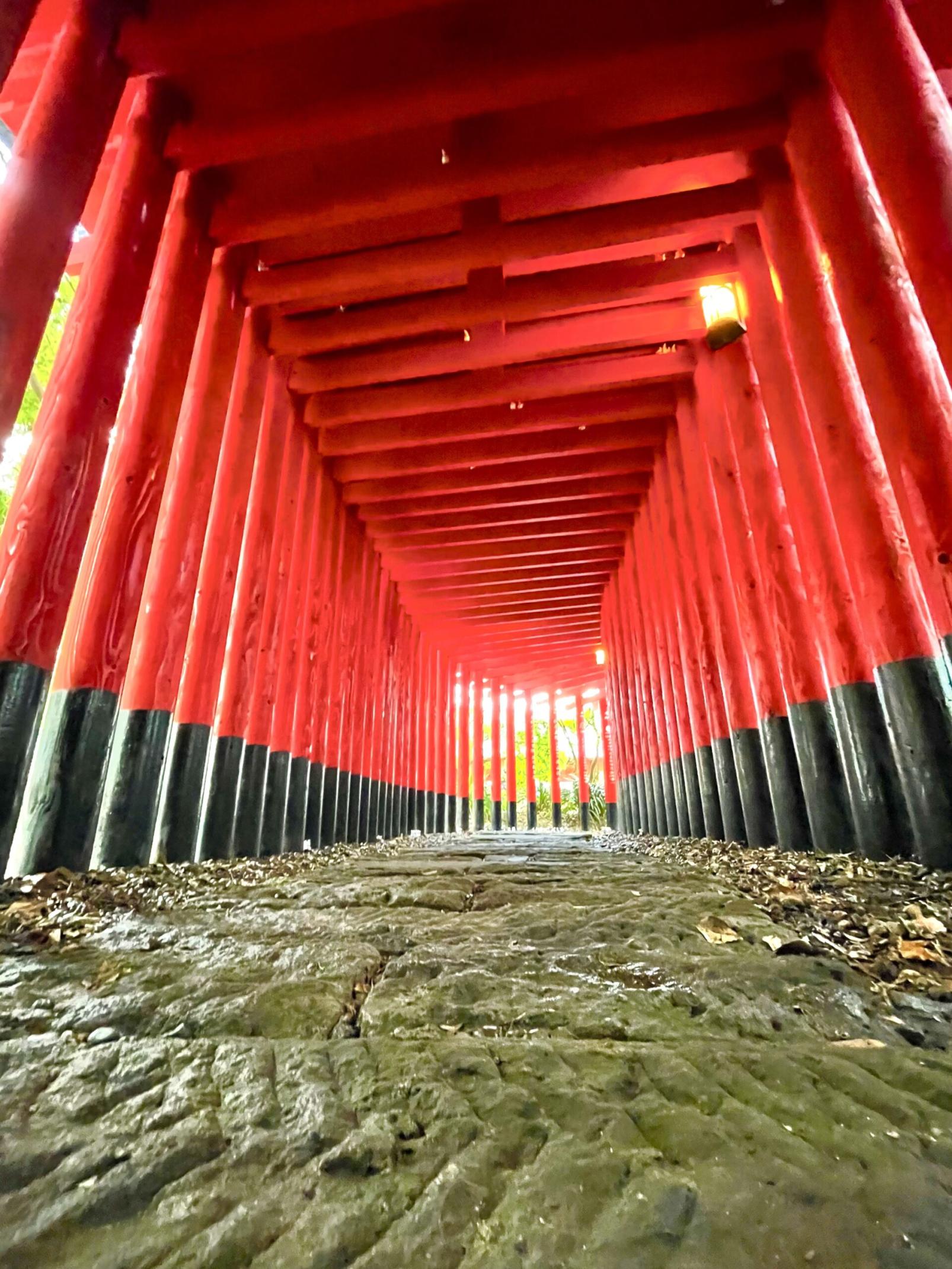 #神徳稲荷神社 #鹿屋市-1