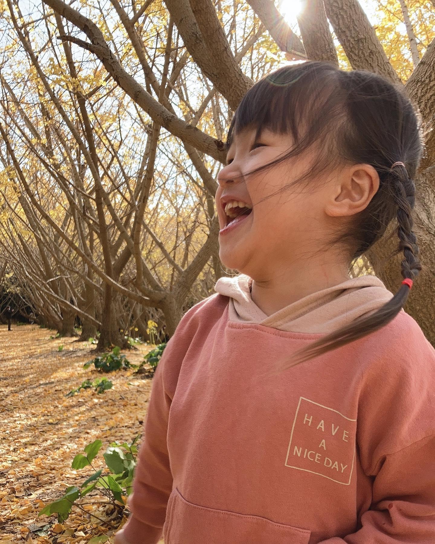 #垂水千本イチョウ&nbsp;#垂水市-1
