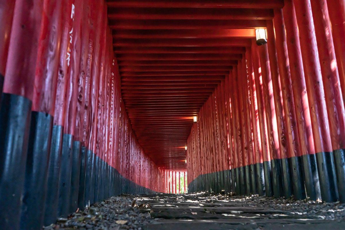 #神徳稲荷神社 #鹿屋市新栄町-1