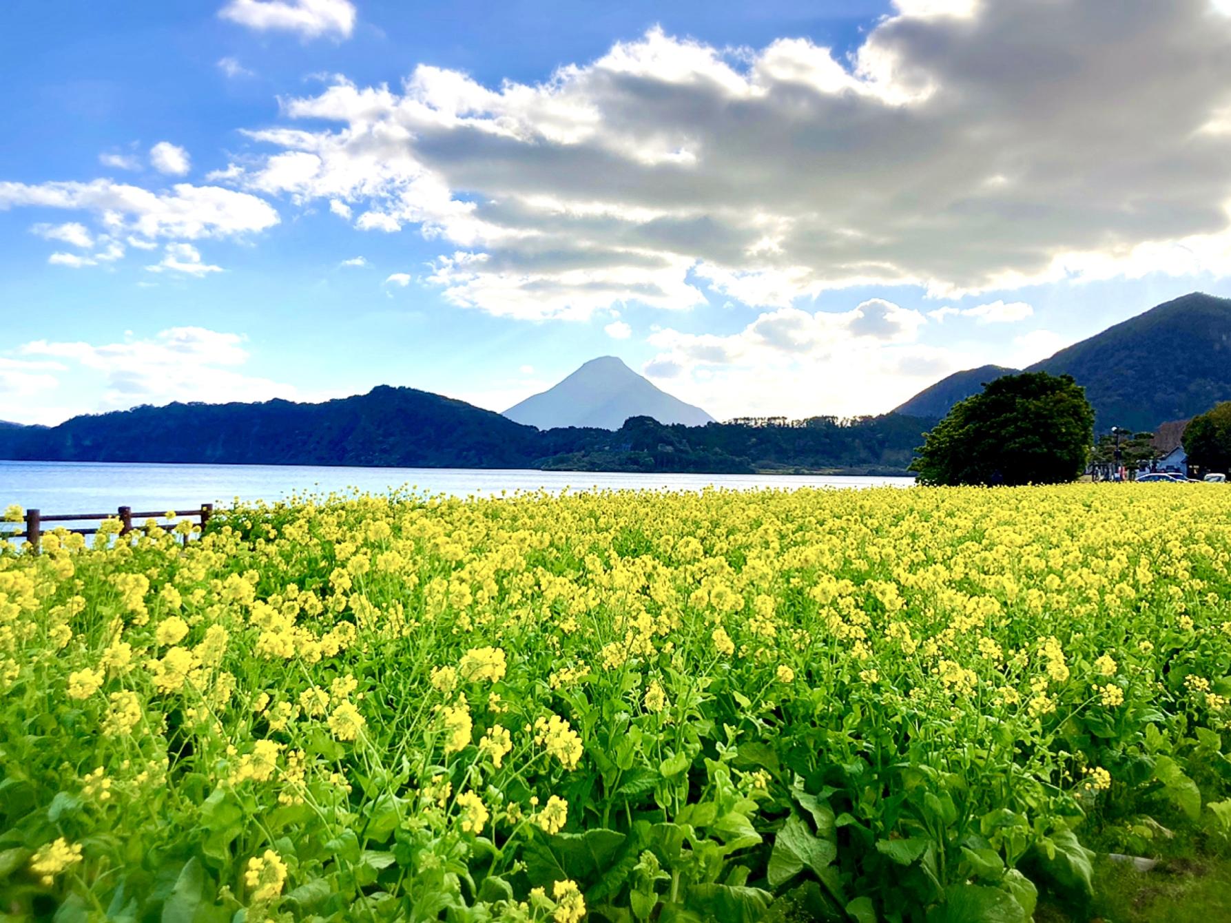 #池田湖畔&nbsp;#指宿市-1