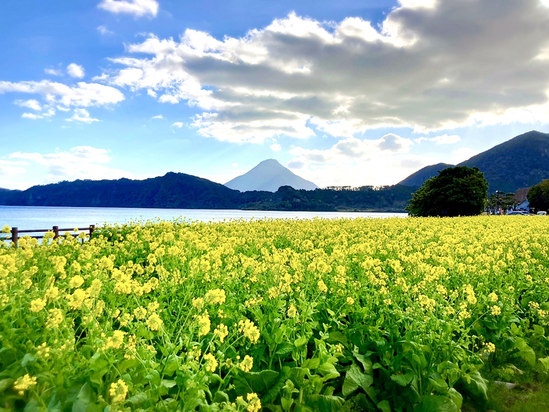 #池田湖畔 #指宿市-1