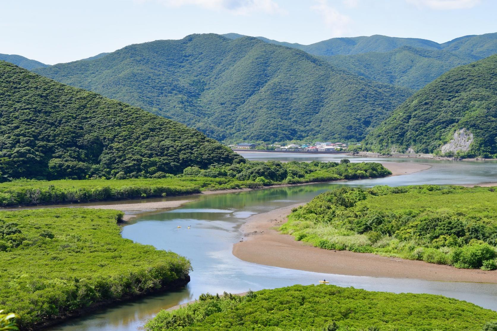 国内有数のマングローブと命のゆりかご住用湾-1