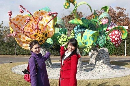霧島アートの森