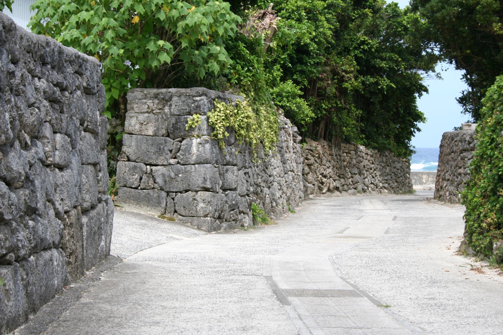 サンゴの石垣／喜界島-1