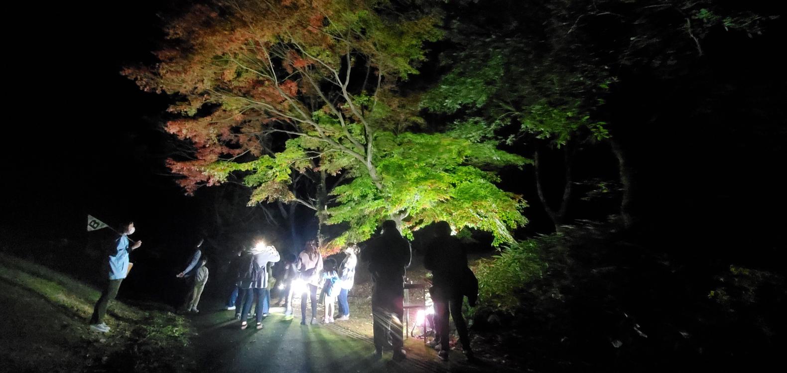 姶良・伊佐地区　上野原縄文の森-1