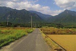 小島集落 恋泊の田んぼ道-1