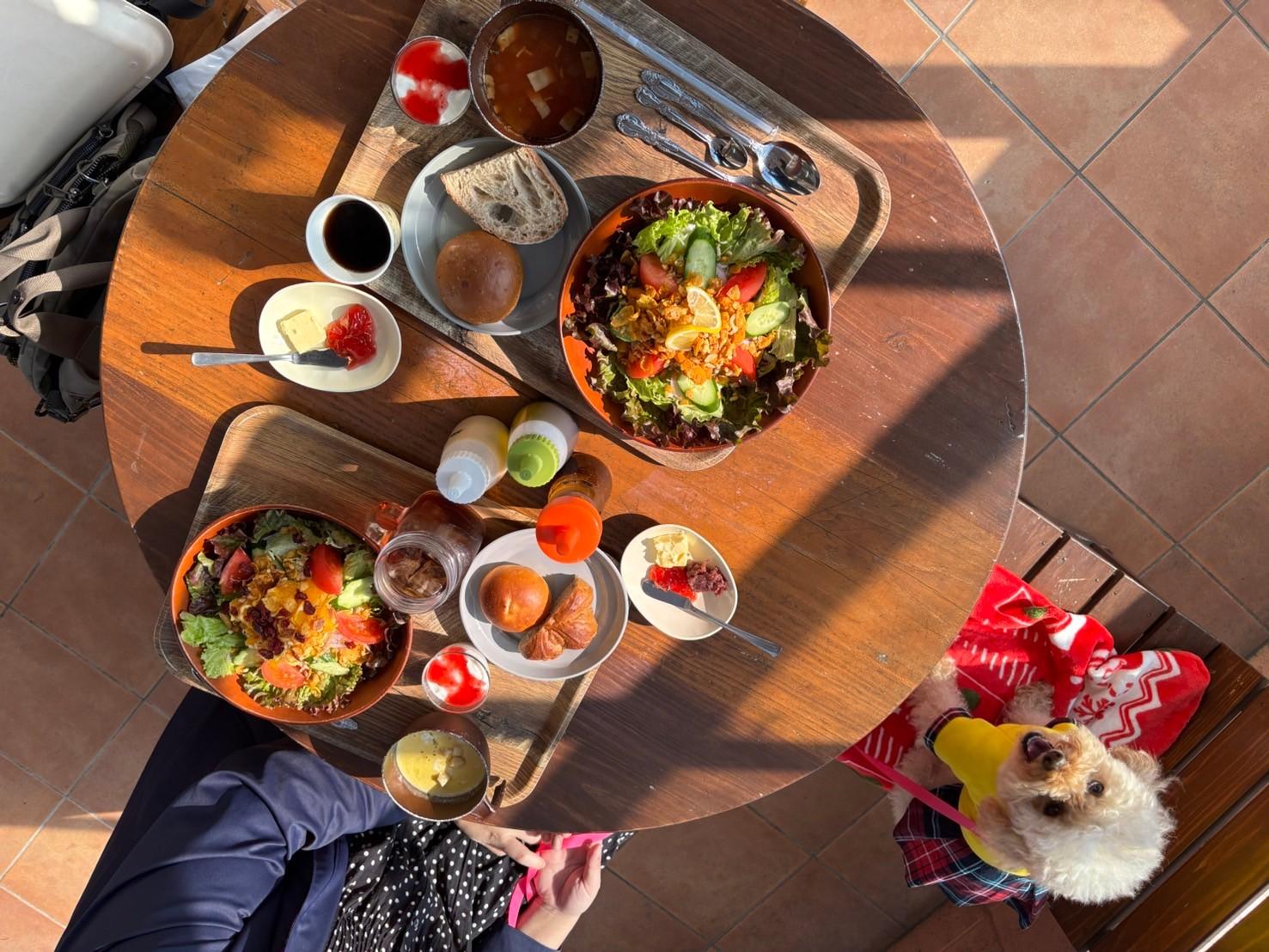 【霧島市】ベーカリー＆カフェ ReeNo（リーノ）-1